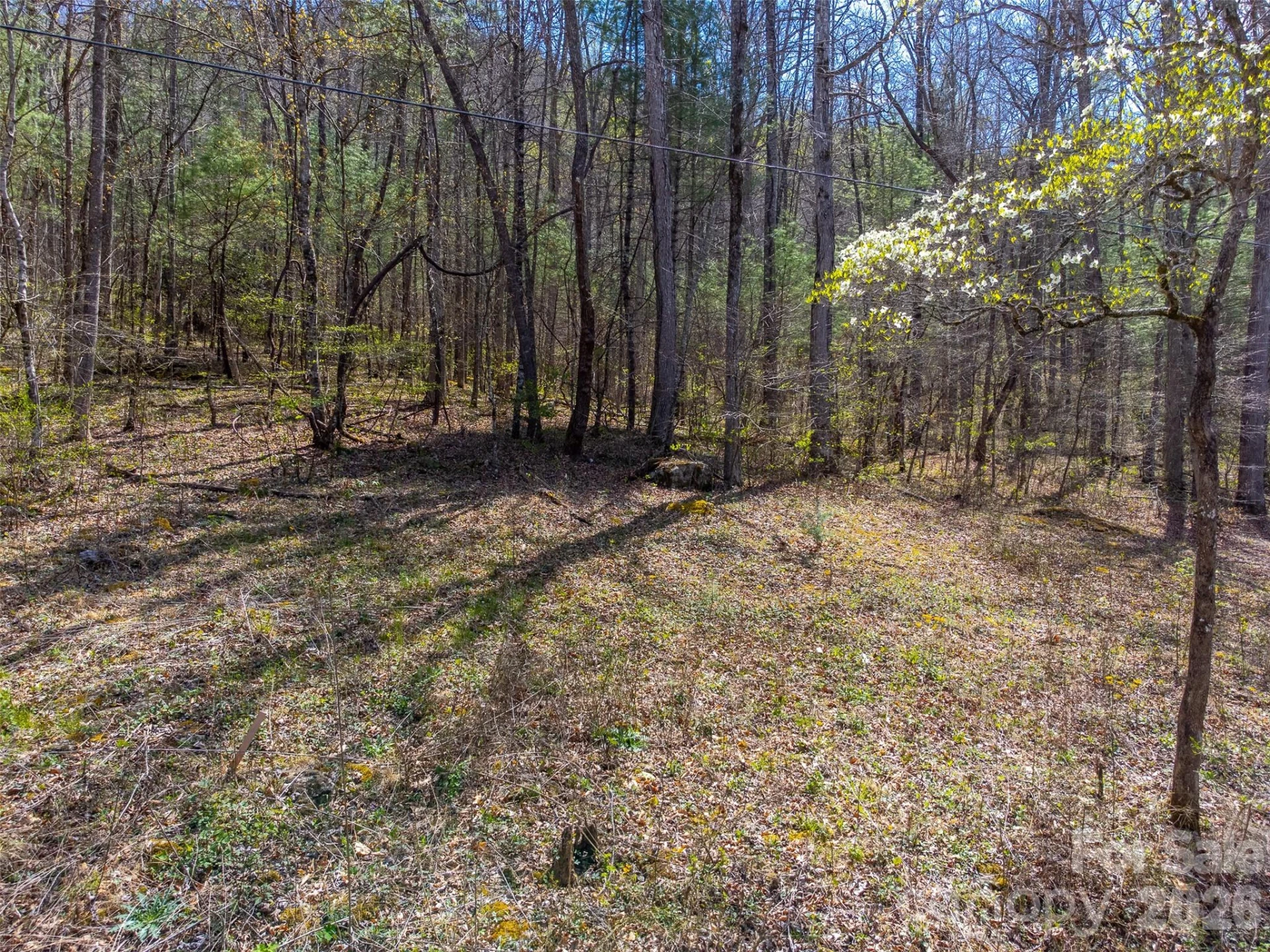 306 Cedar Creek Farm Road - Photo 7
