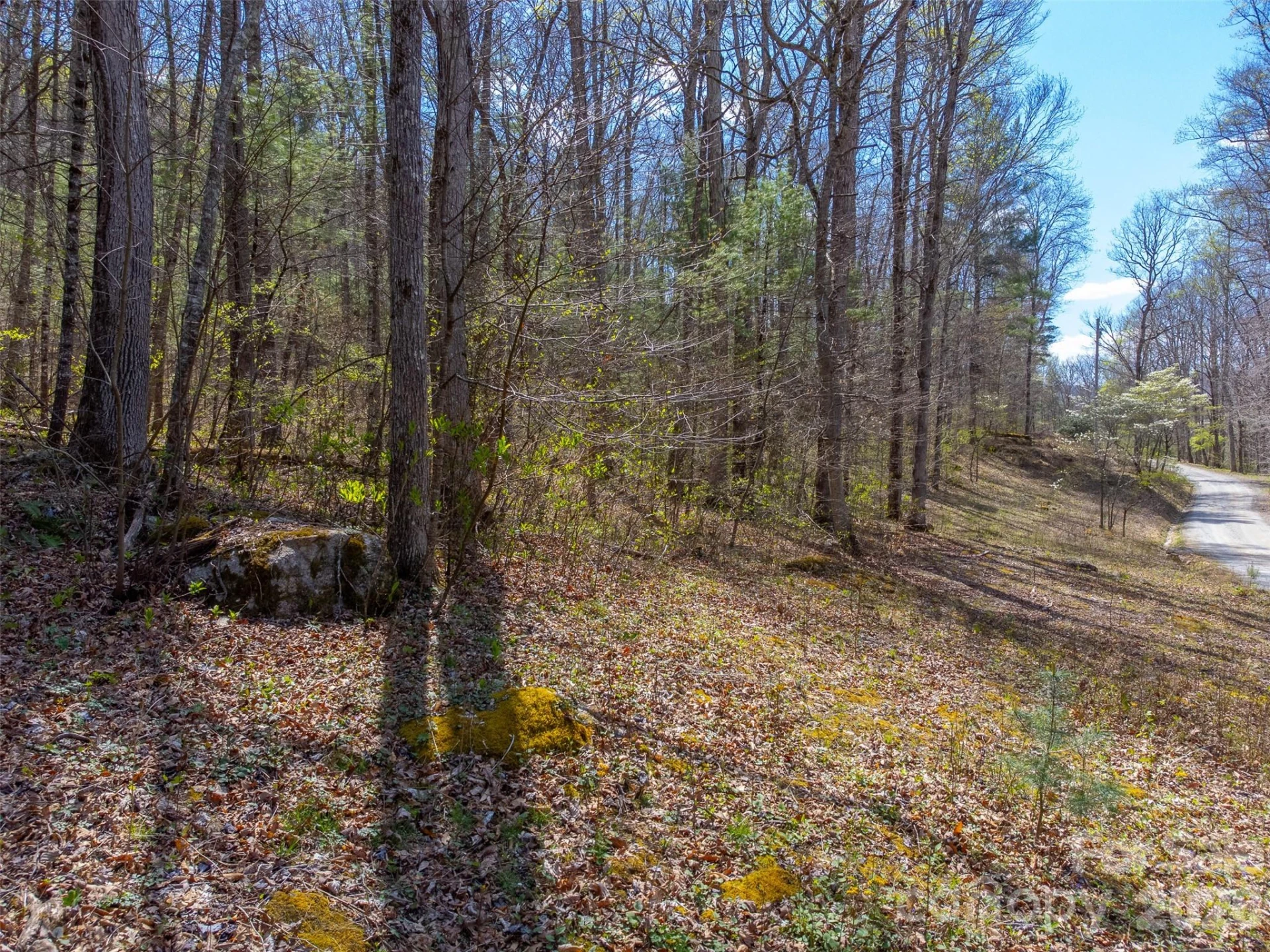 306 Cedar Creek Farm Road - Photo 9