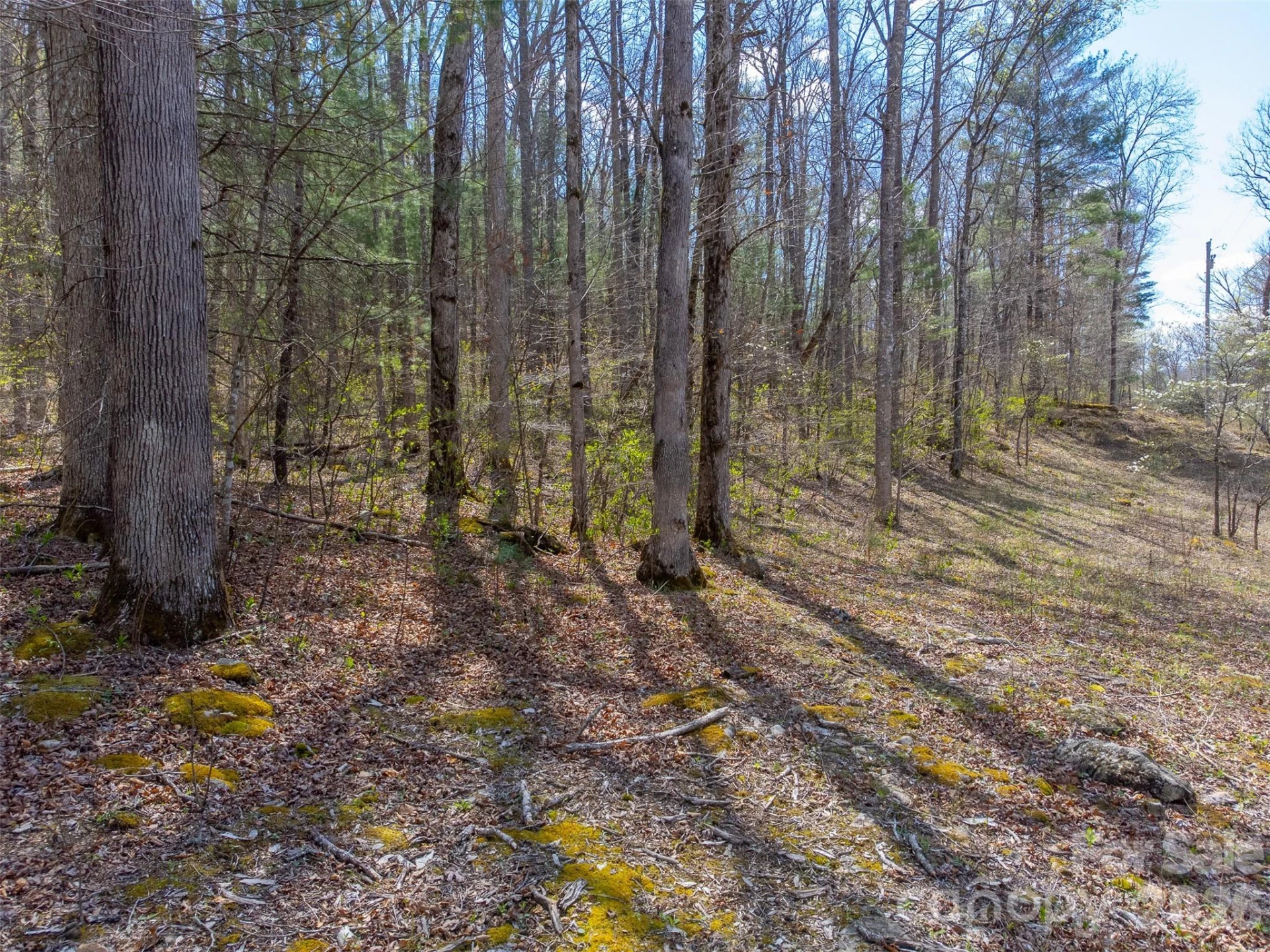 306 Cedar Creek Farm Road - Photo 10