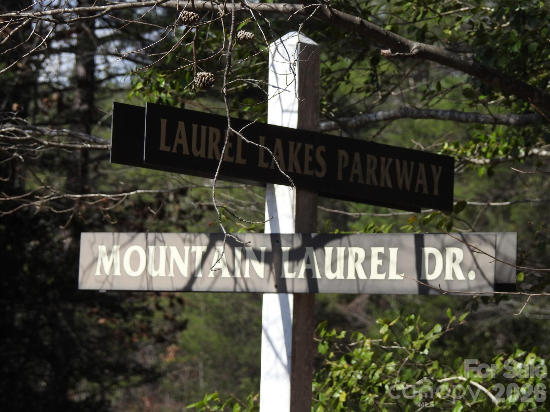 00 Laurel Lakes Parkway #2 - Photo 11