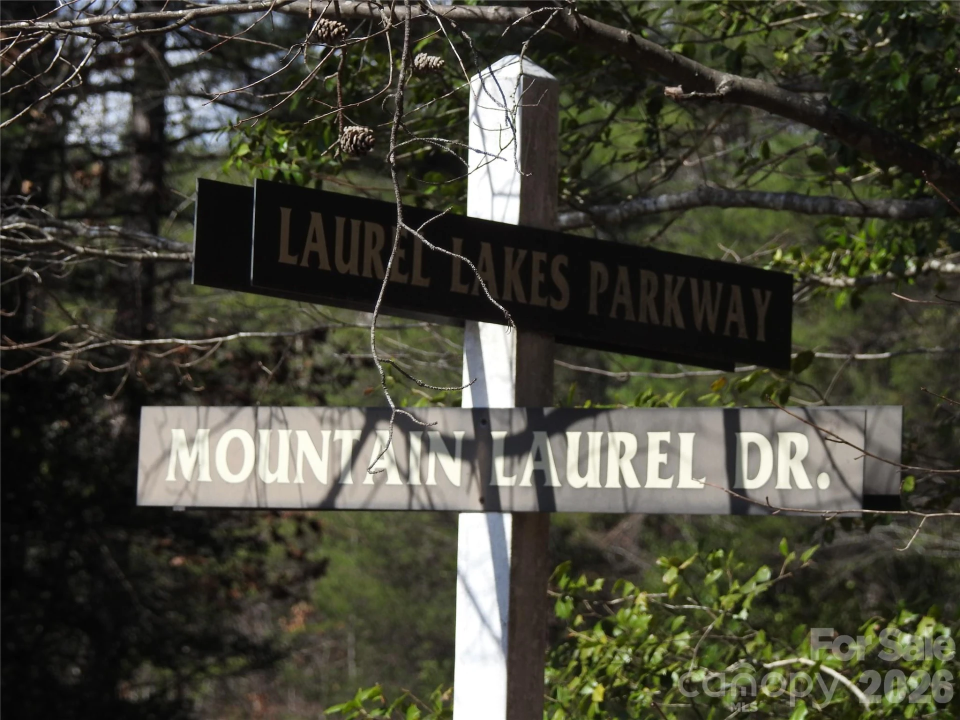 00 Laurel Lakes Parkway #2 - Photo 11