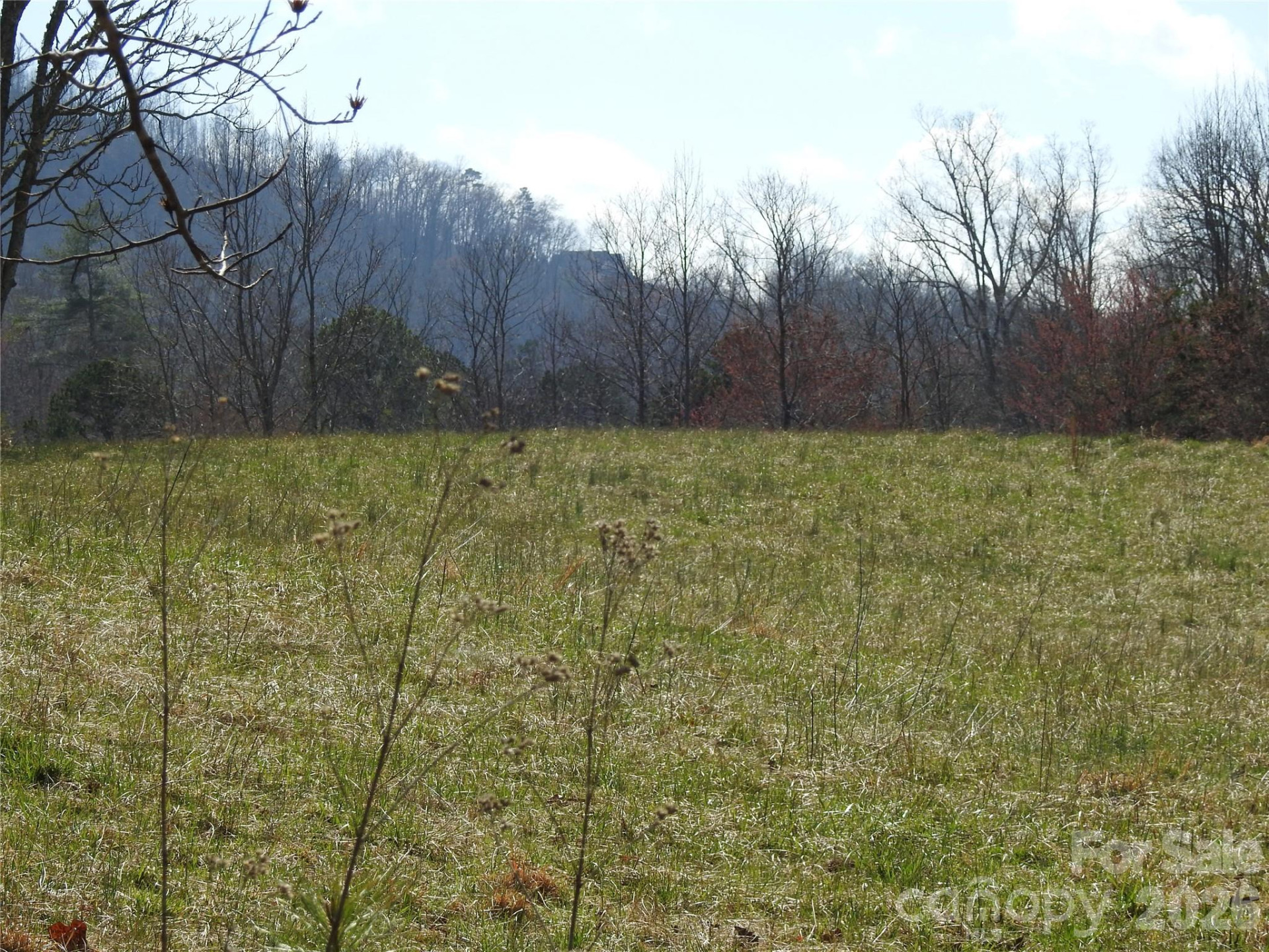 00 Laurel Lakes Parkway #2 - Photo 12