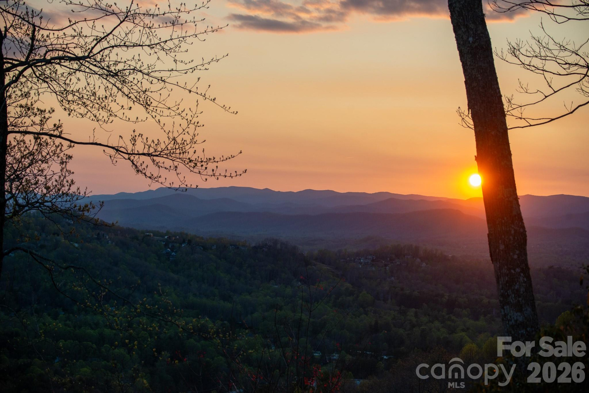 E11 Marble Heights Trail - Photo 2