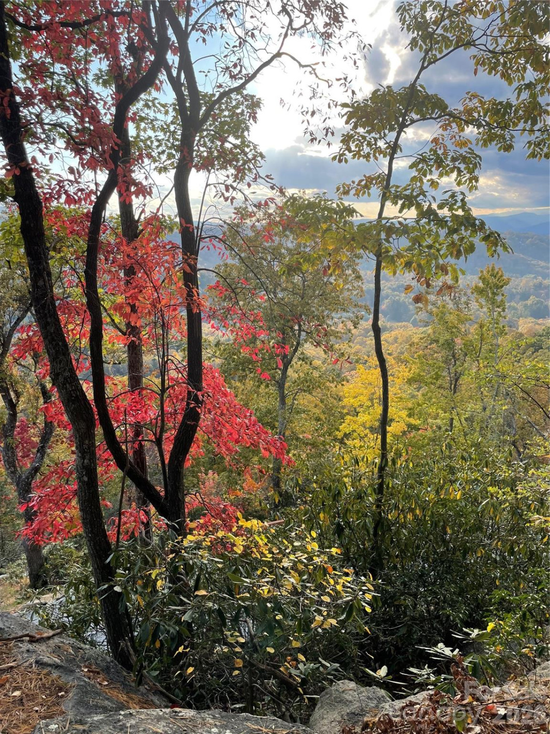 E11 Marble Heights Trail - Photo 14