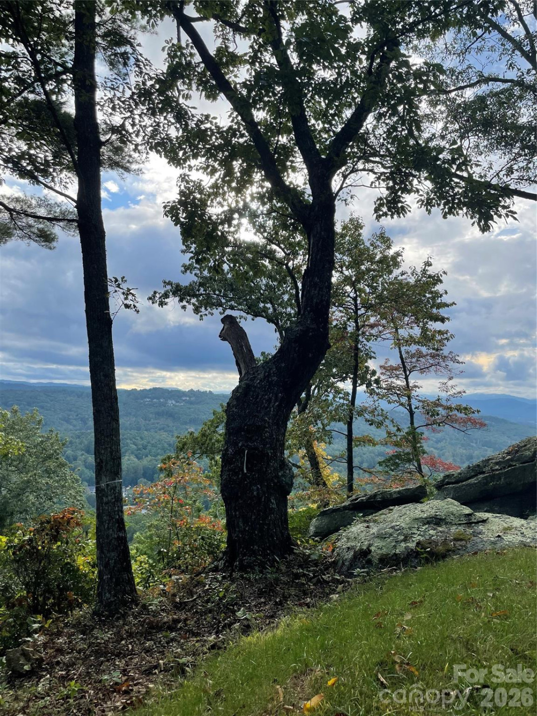 E11 Marble Heights Trail - Photo 15