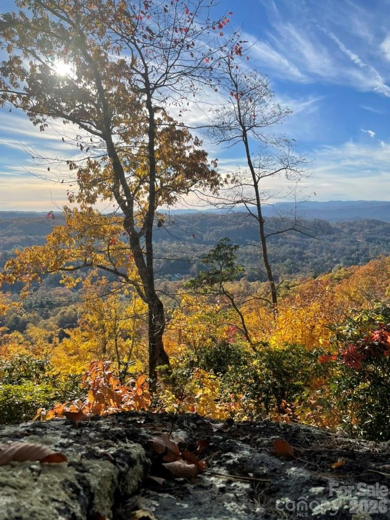 E11 Marble Heights Trail - Photo 16