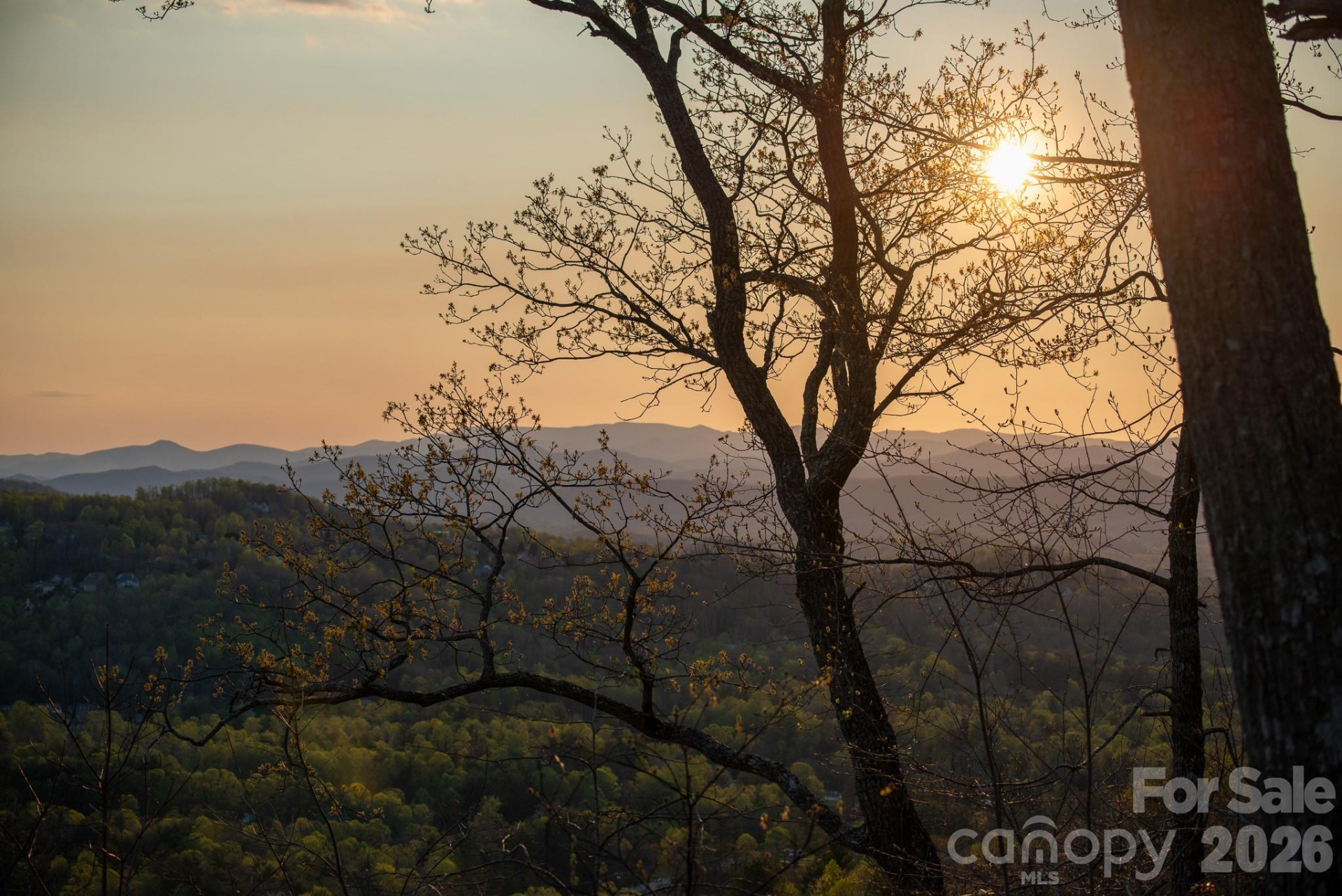 E11 Marble Heights Trail - Photo 4