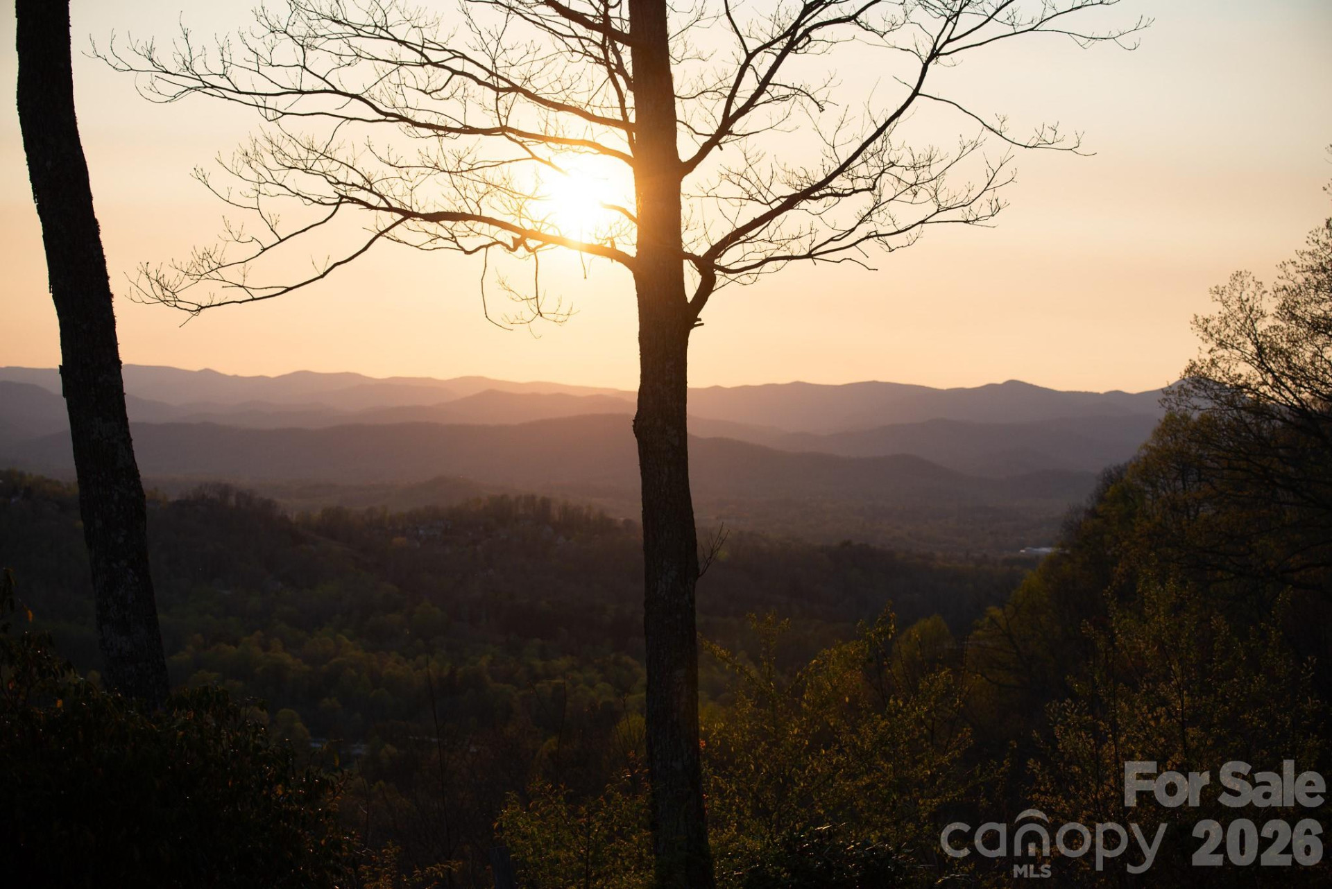 E11 Marble Heights Trail - Photo 8