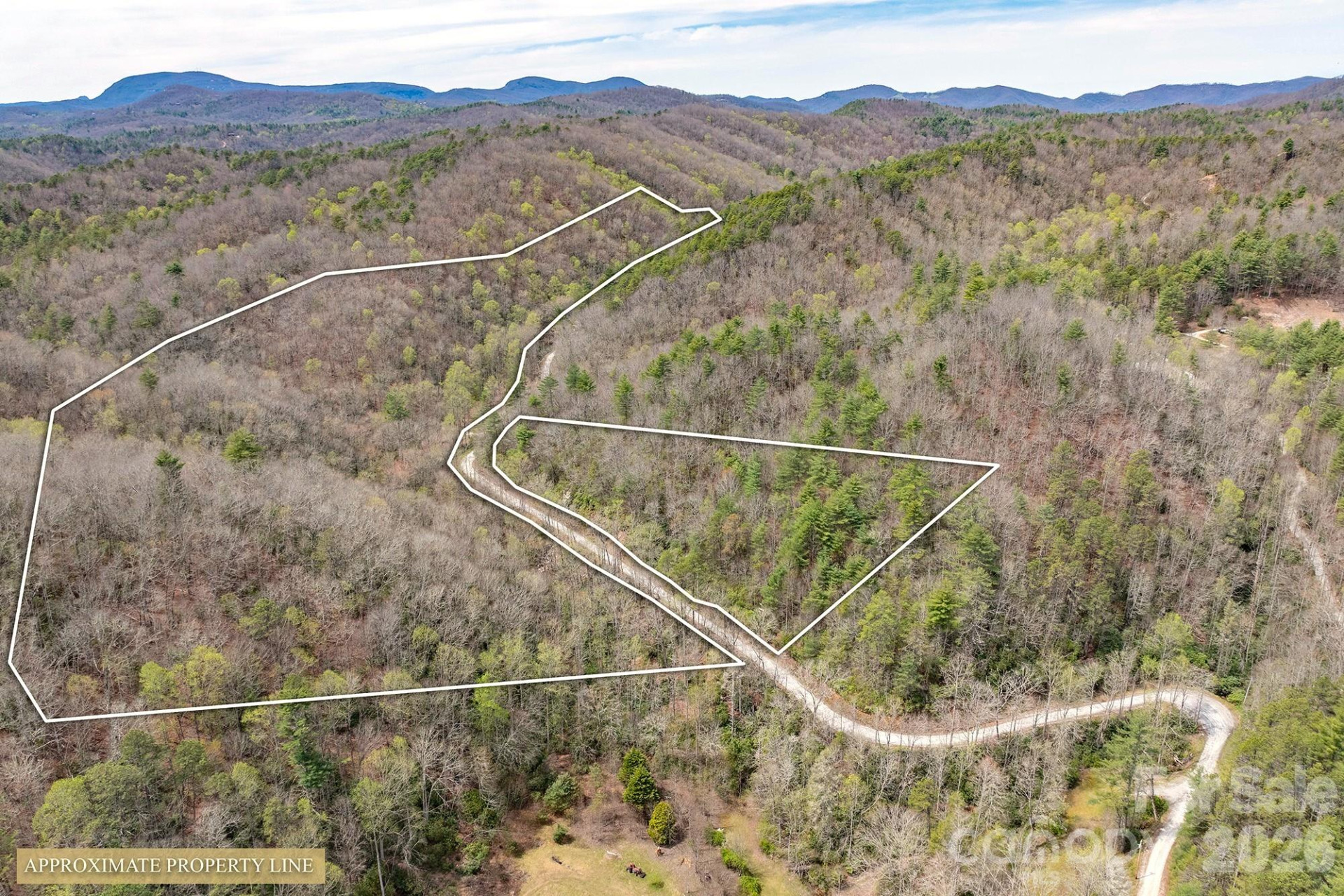 0 Diamond Creek Road - Photo 2