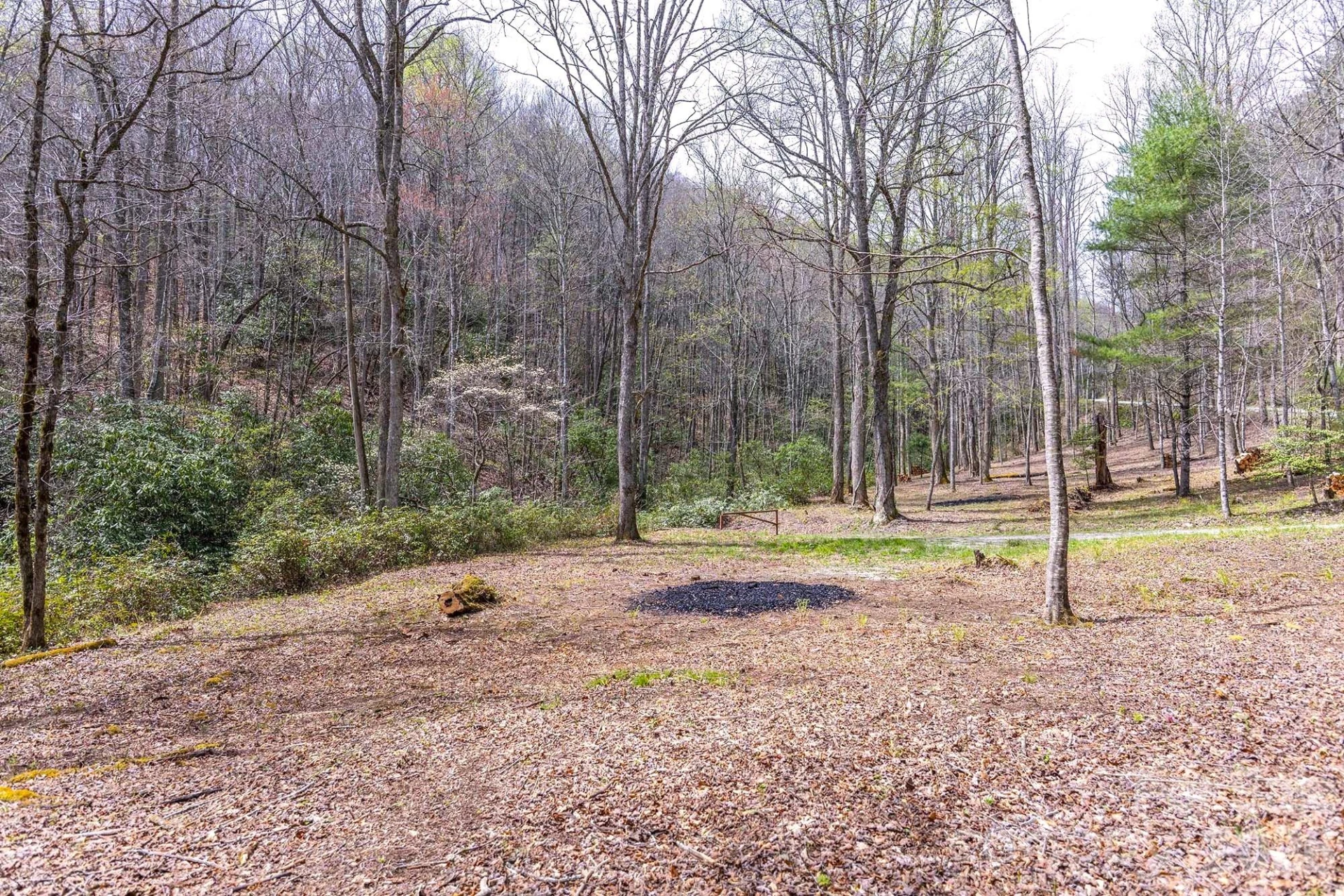 0 Diamond Creek Road - Photo 11