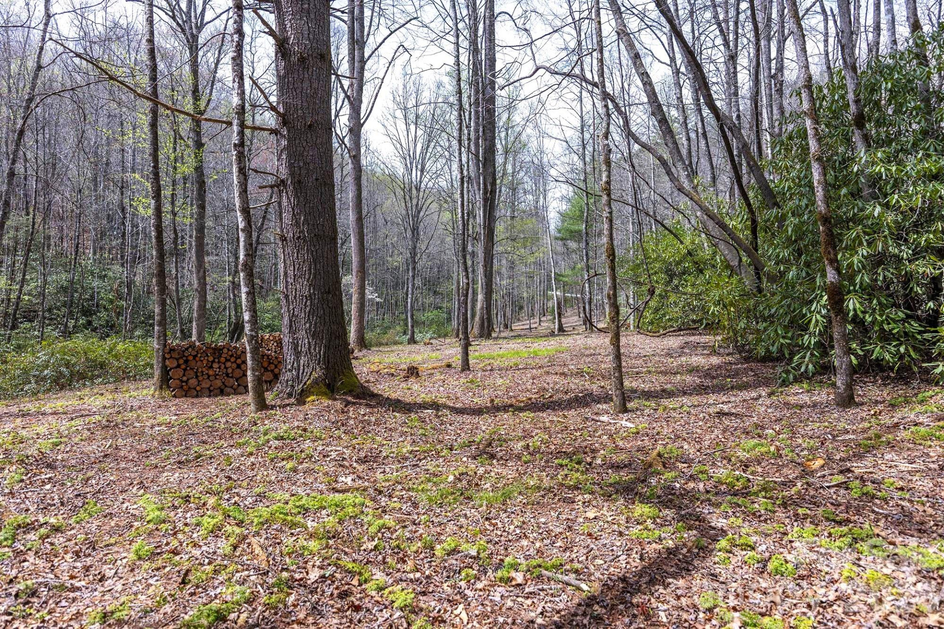 0 Diamond Creek Road - Photo 12