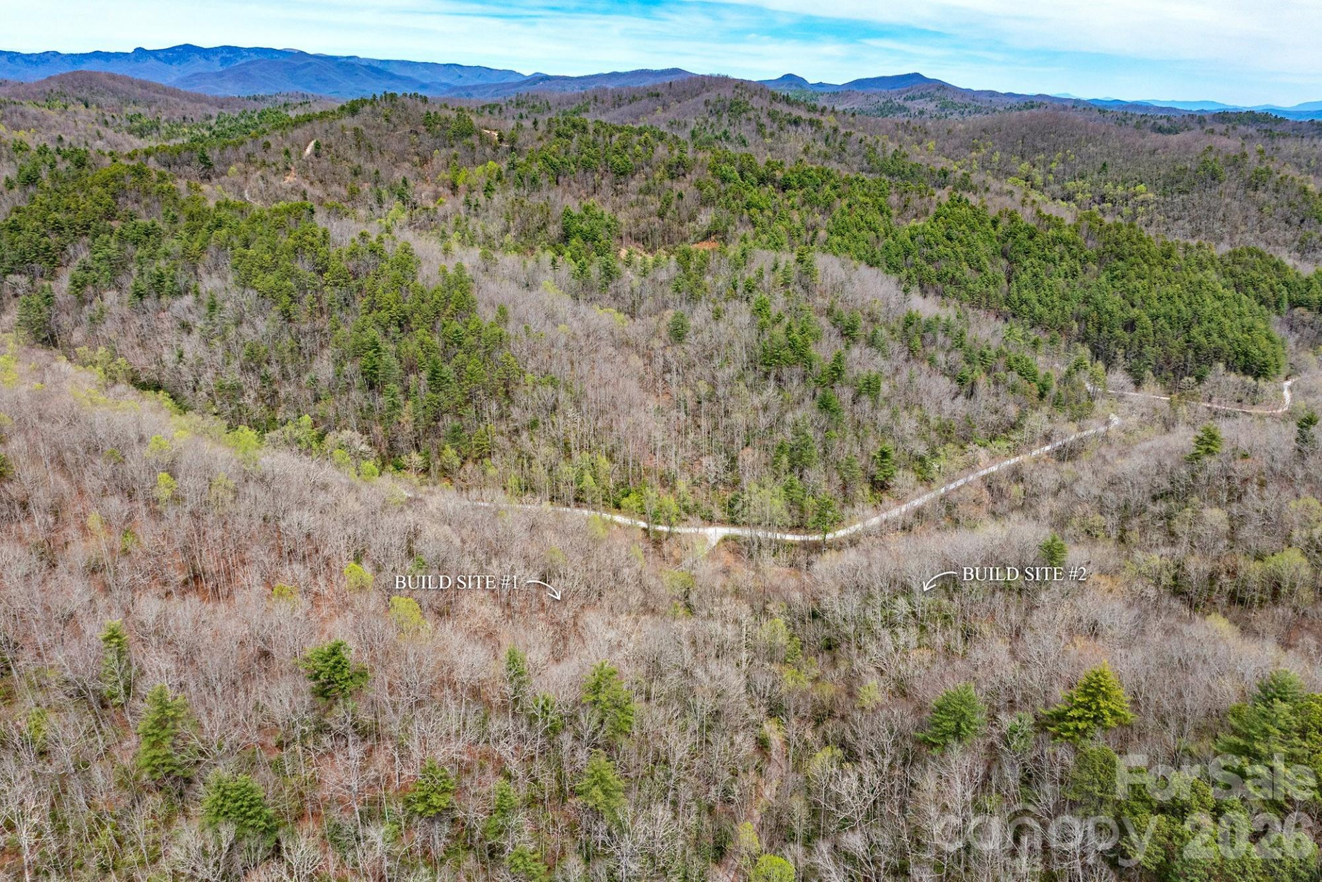 0 Diamond Creek Road - Photo 3