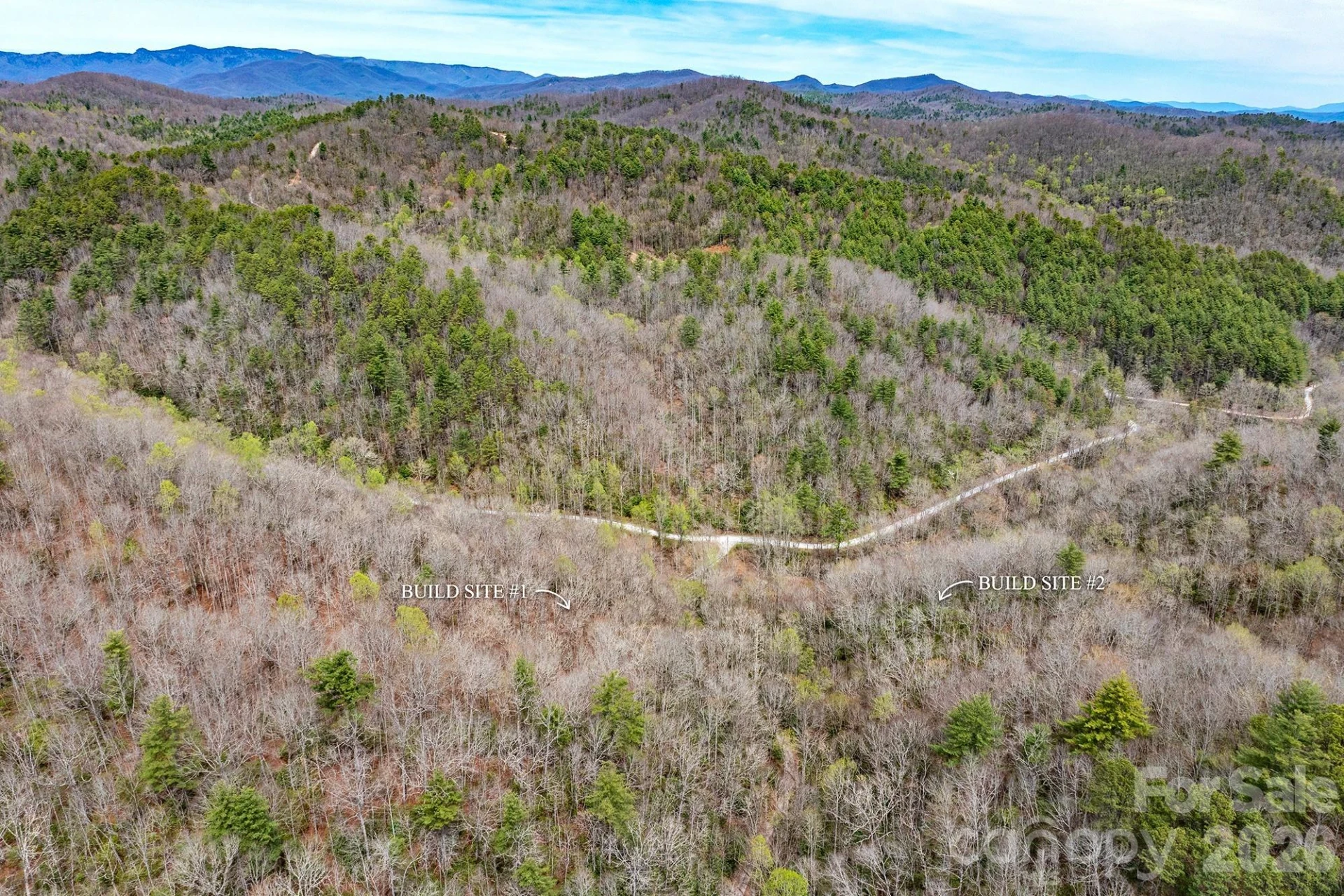 0 Diamond Creek Road - Photo 3