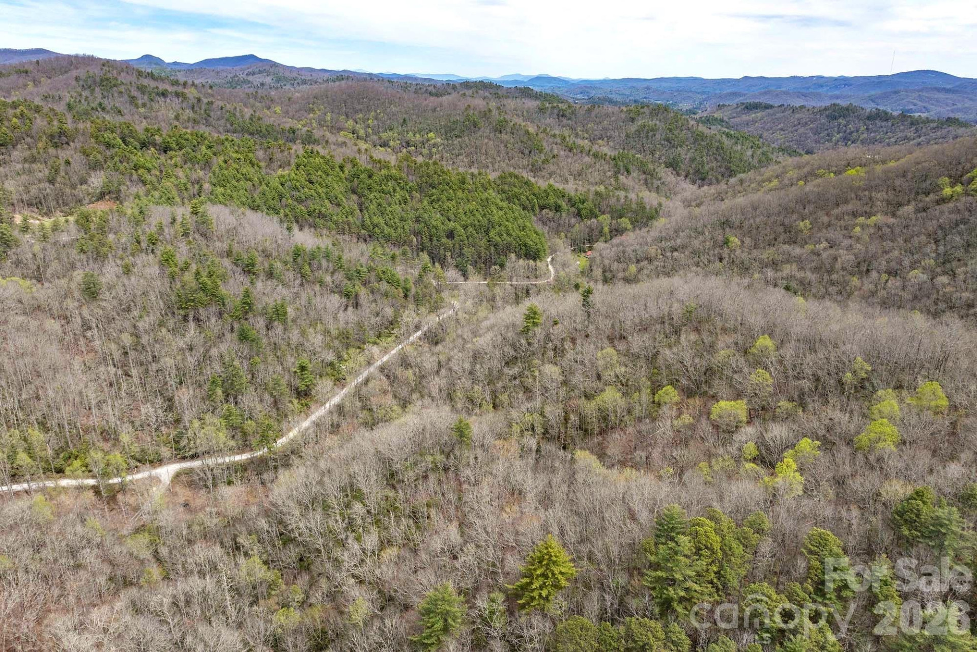 0 Diamond Creek Road - Photo 4