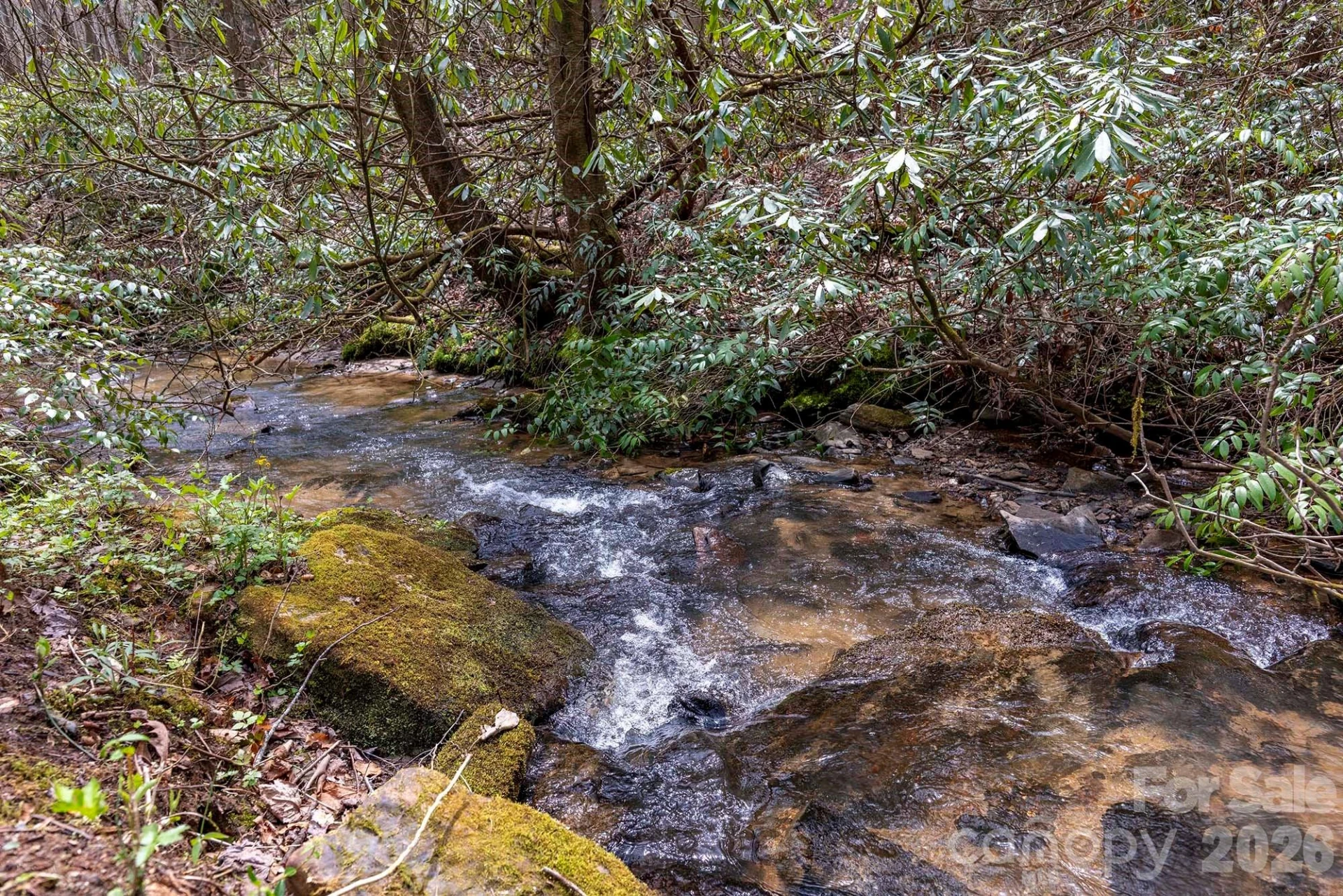 0 Diamond Creek Road - Photo 5