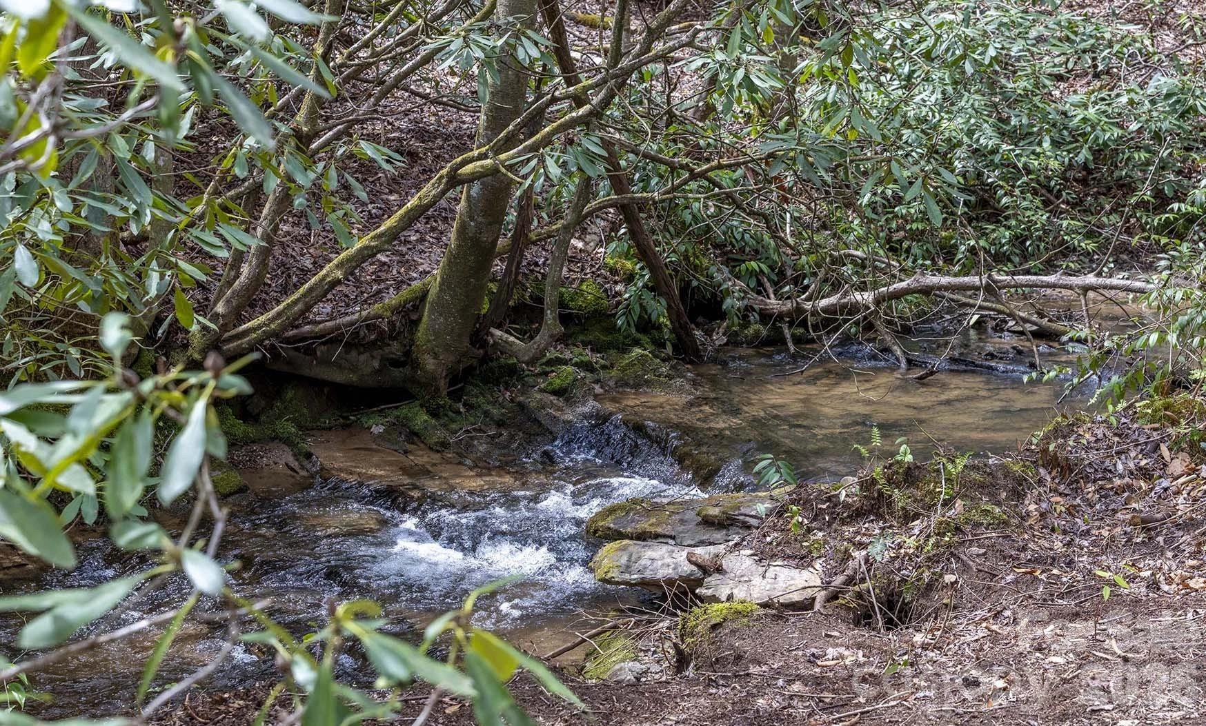 0 Diamond Creek Road - Photo 6