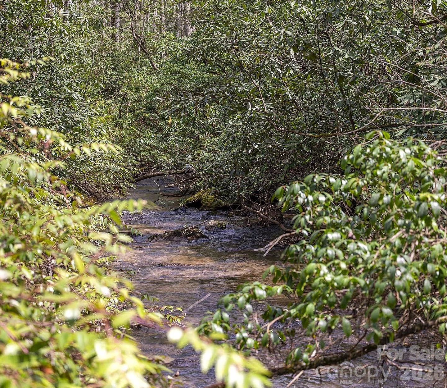 0 Diamond Creek Road - Photo 7