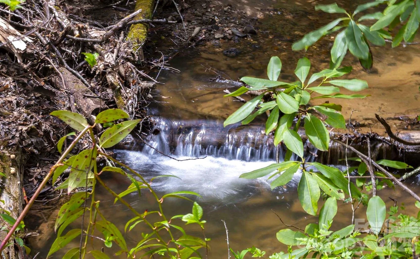 0 Diamond Creek Road - Photo 8