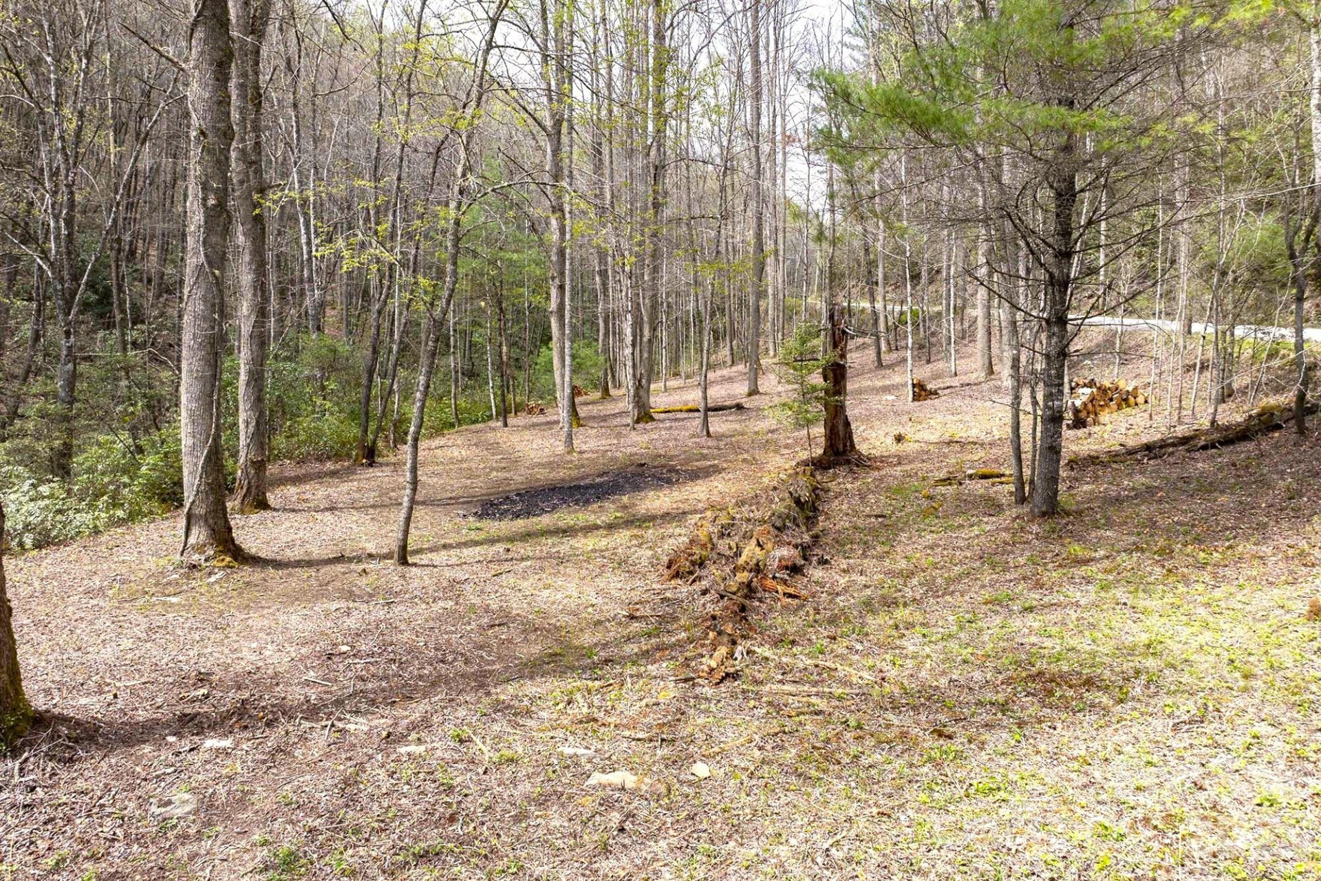 0 Diamond Creek Road - Photo 9