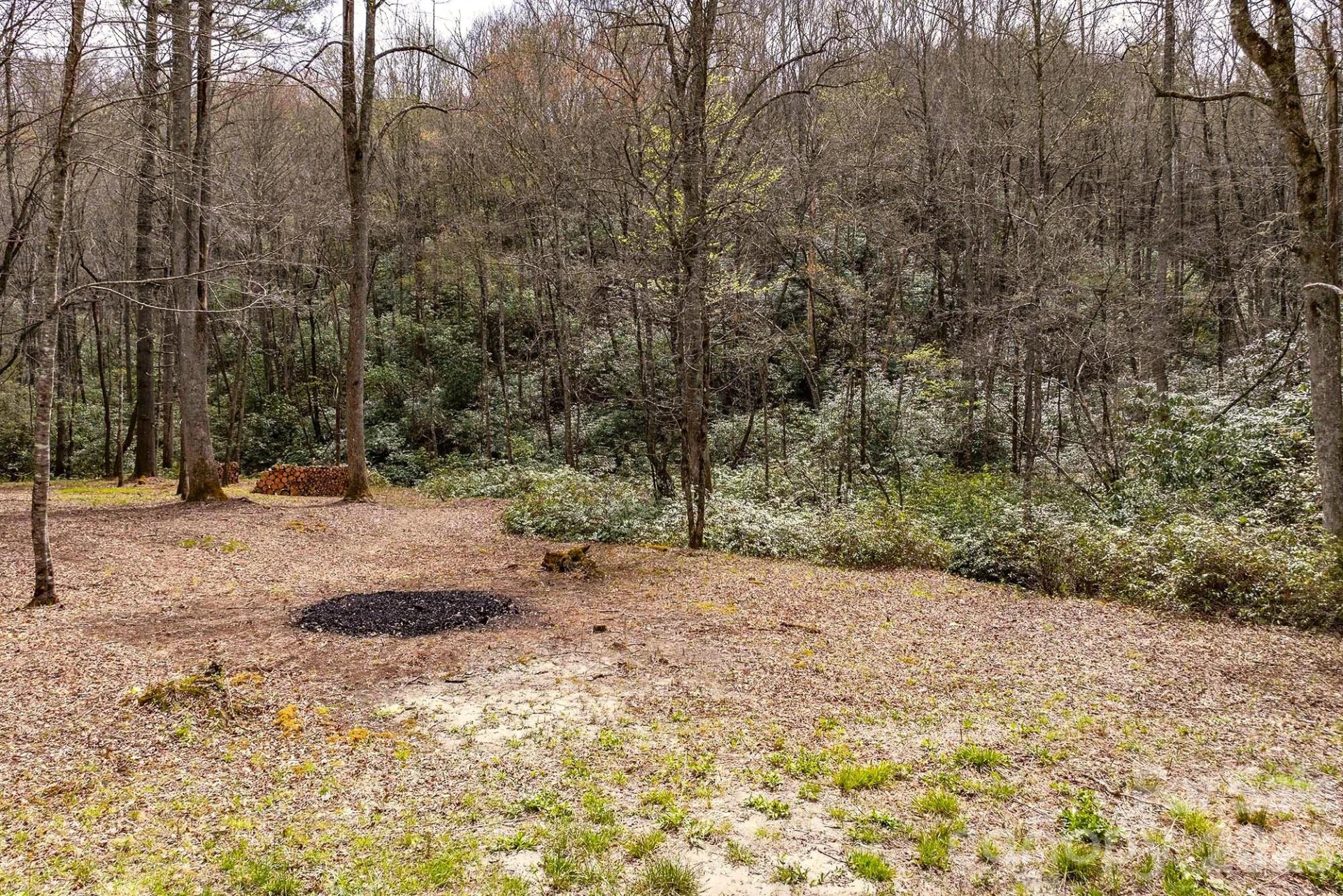 0 Diamond Creek Road - Photo 10