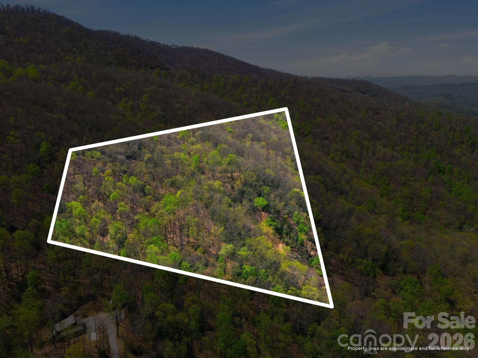 9999 Lytle Cove Road Road - Photo 11