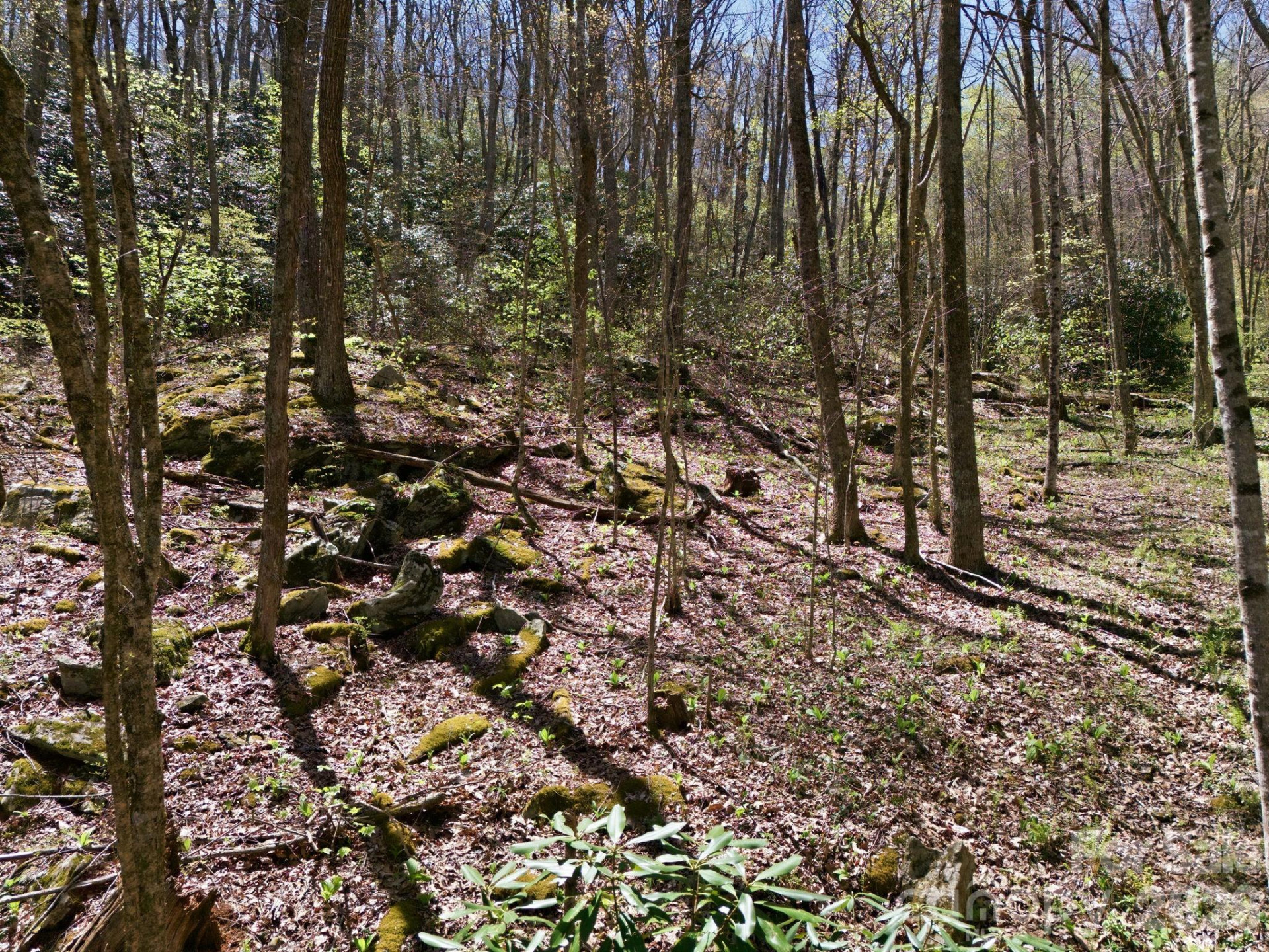 9999 Lytle Cove Road Road - Photo 12