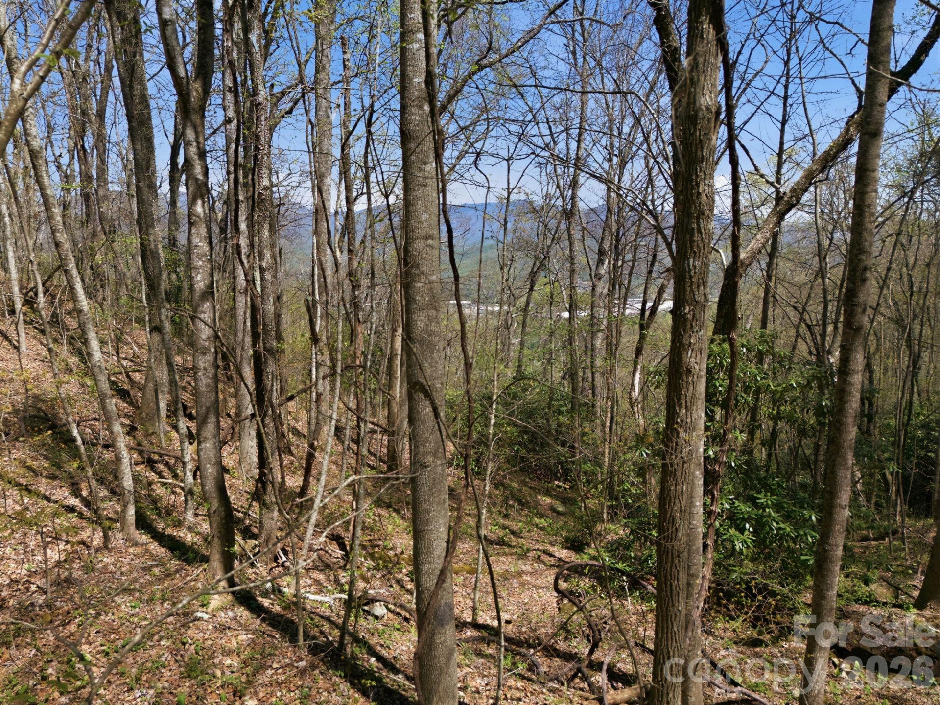 9999 Lytle Cove Road Road - Photo 13