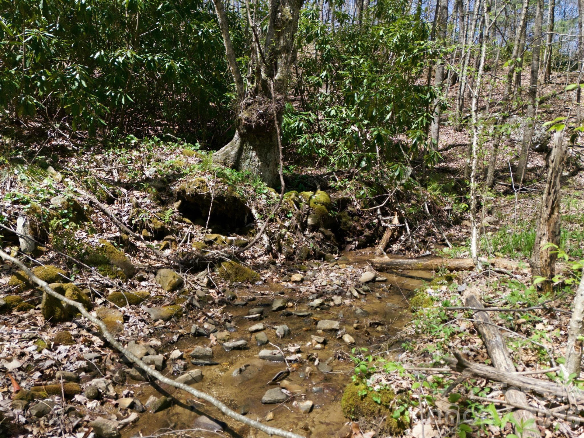 9999 Lytle Cove Road Road - Photo 14