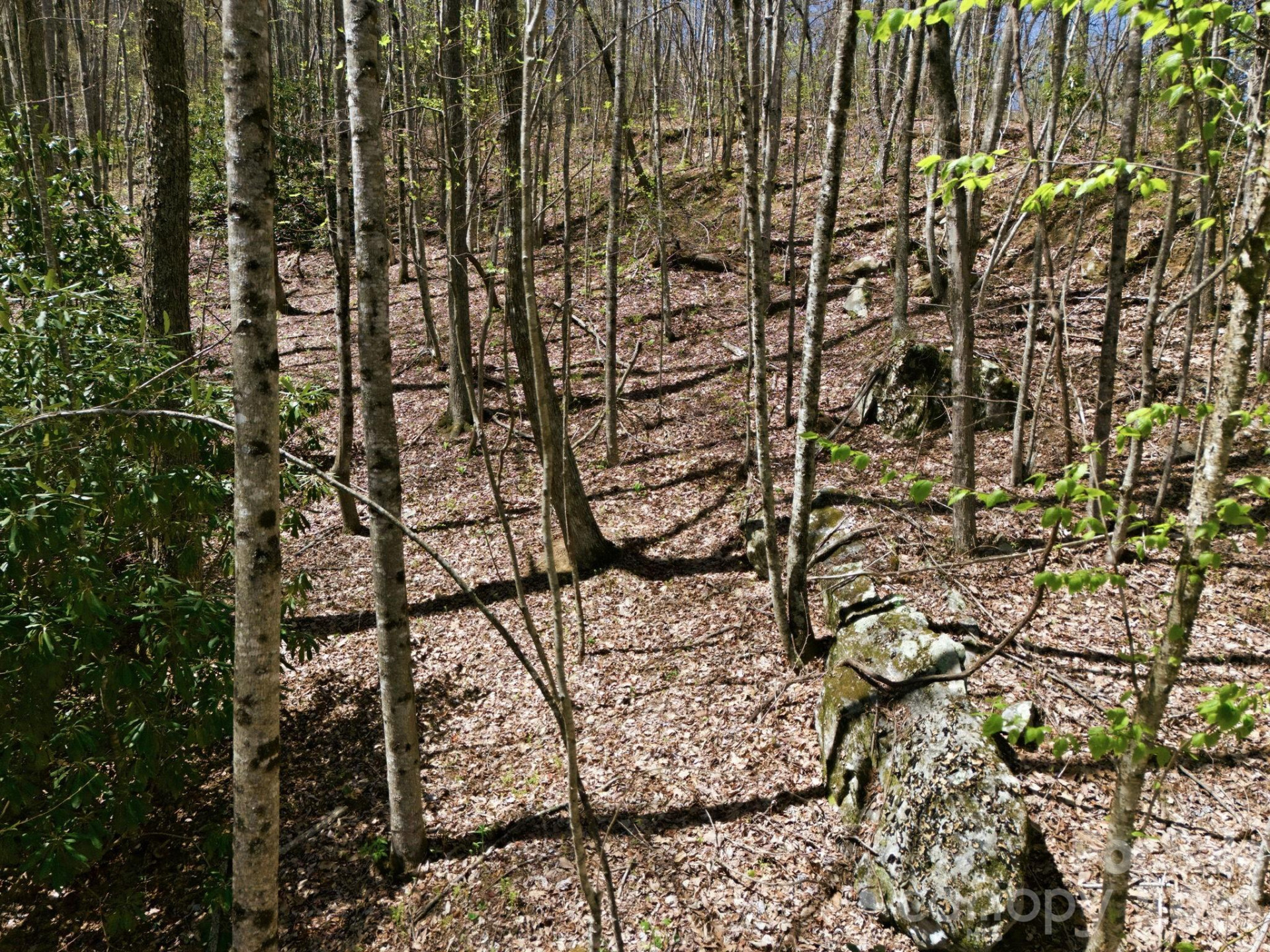 9999 Lytle Cove Road Road - Photo 15