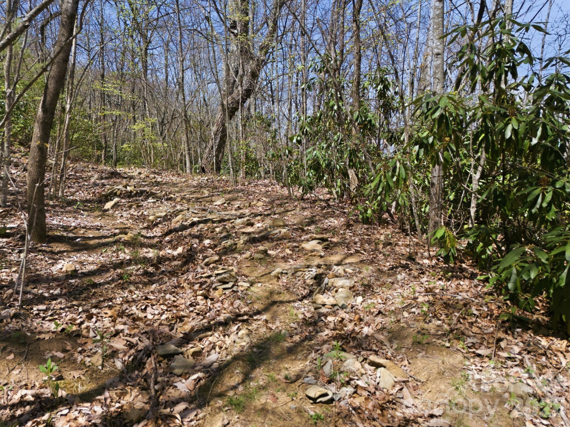 9999 Lytle Cove Road Road - Photo 16