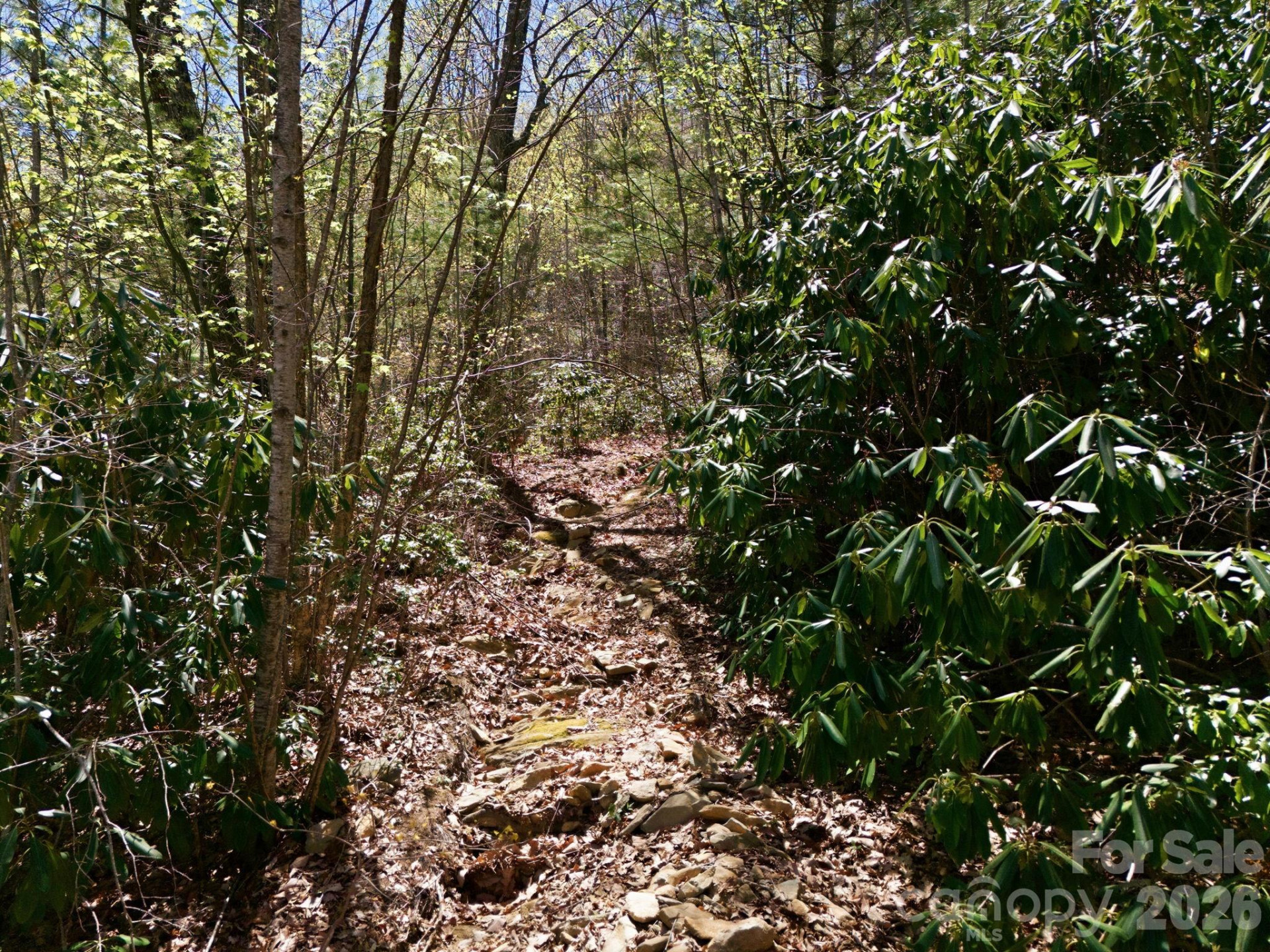 9999 Lytle Cove Road Road - Photo 17