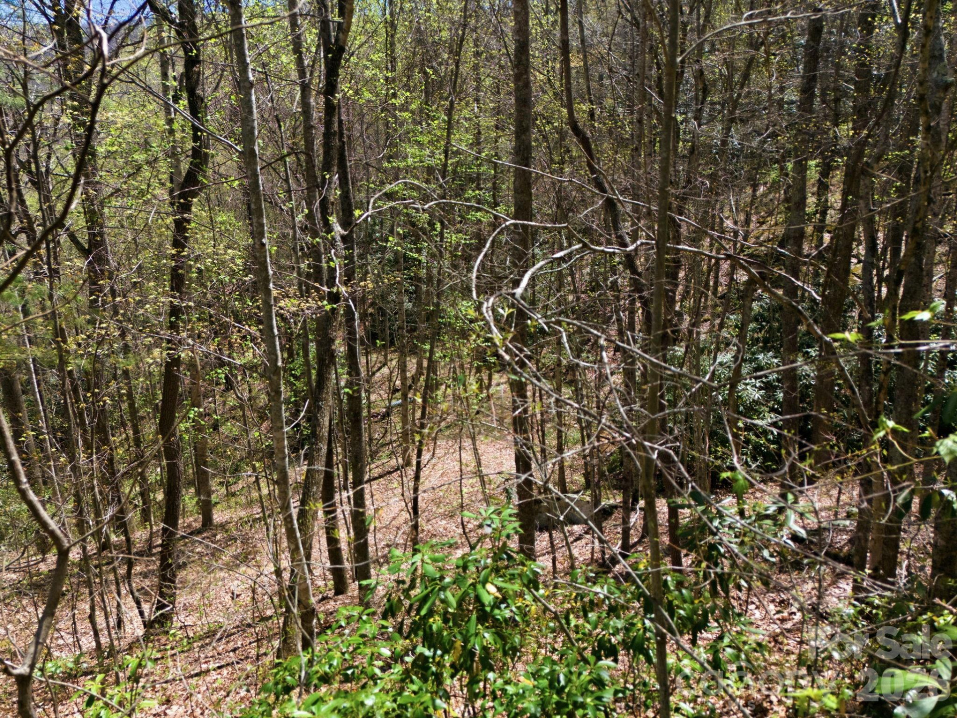 9999 Lytle Cove Road Road - Photo 19