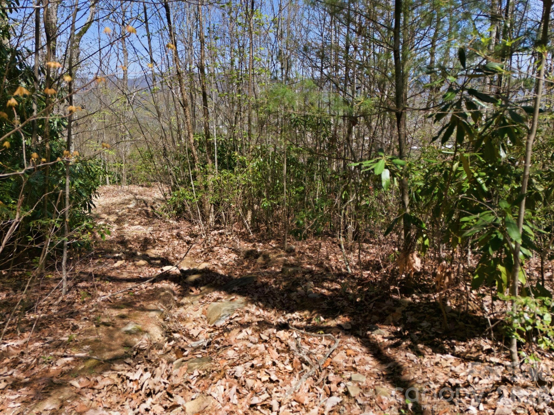 9999 Lytle Cove Road Road - Photo 20