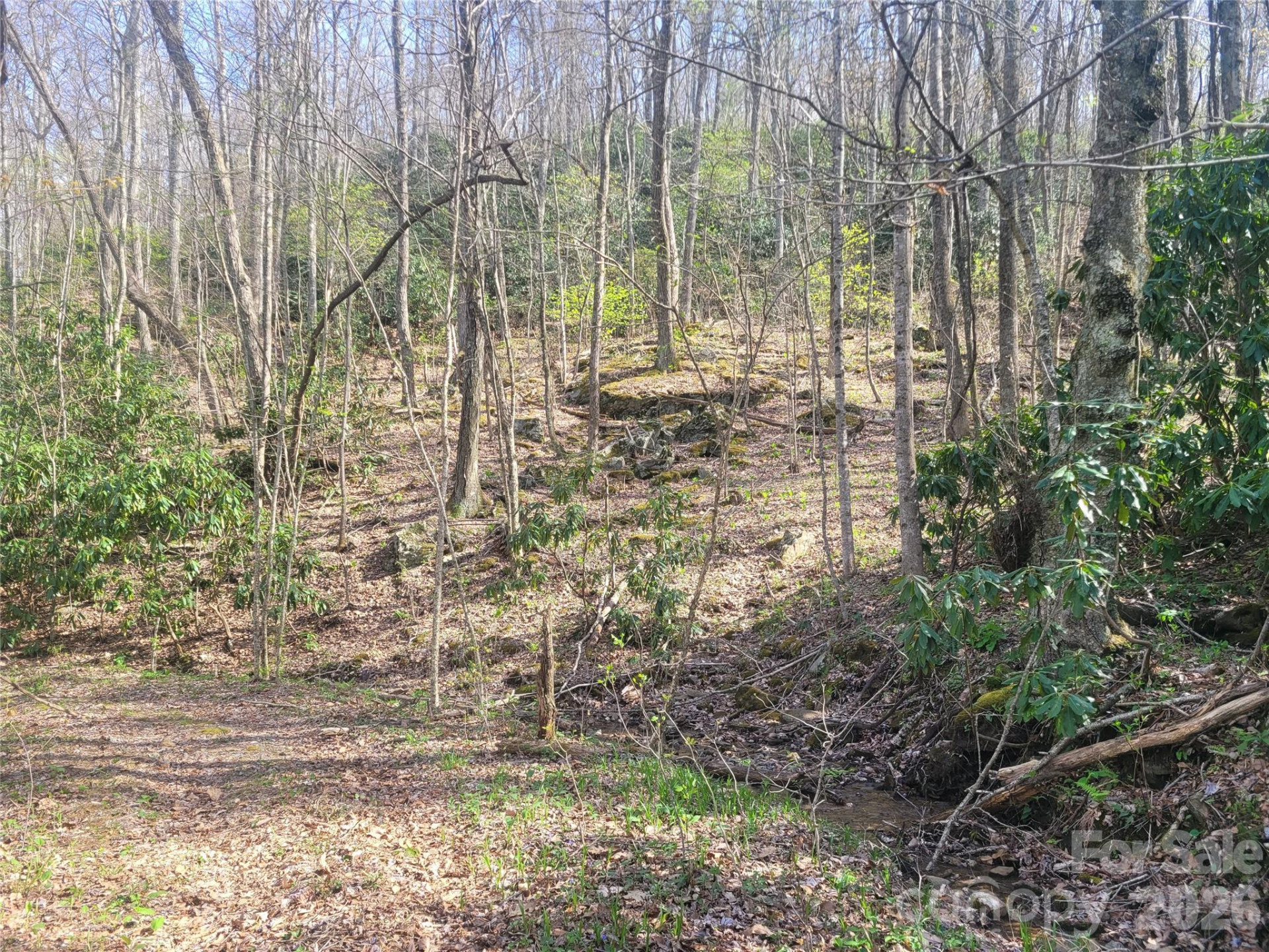 9999 Lytle Cove Road Road - Photo 4