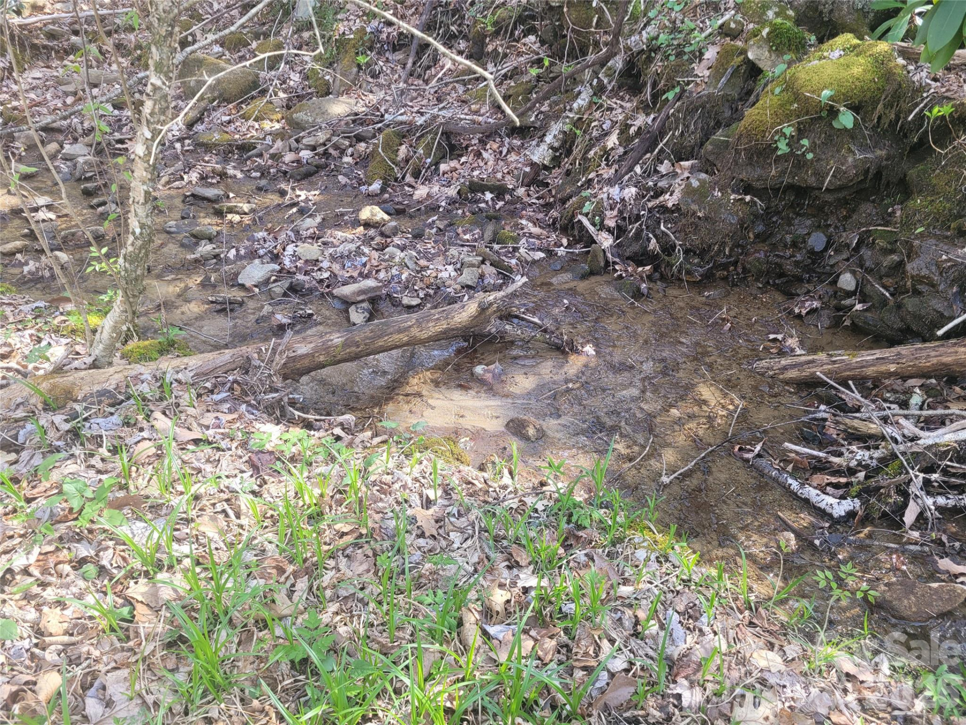 9999 Lytle Cove Road Road - Photo 6