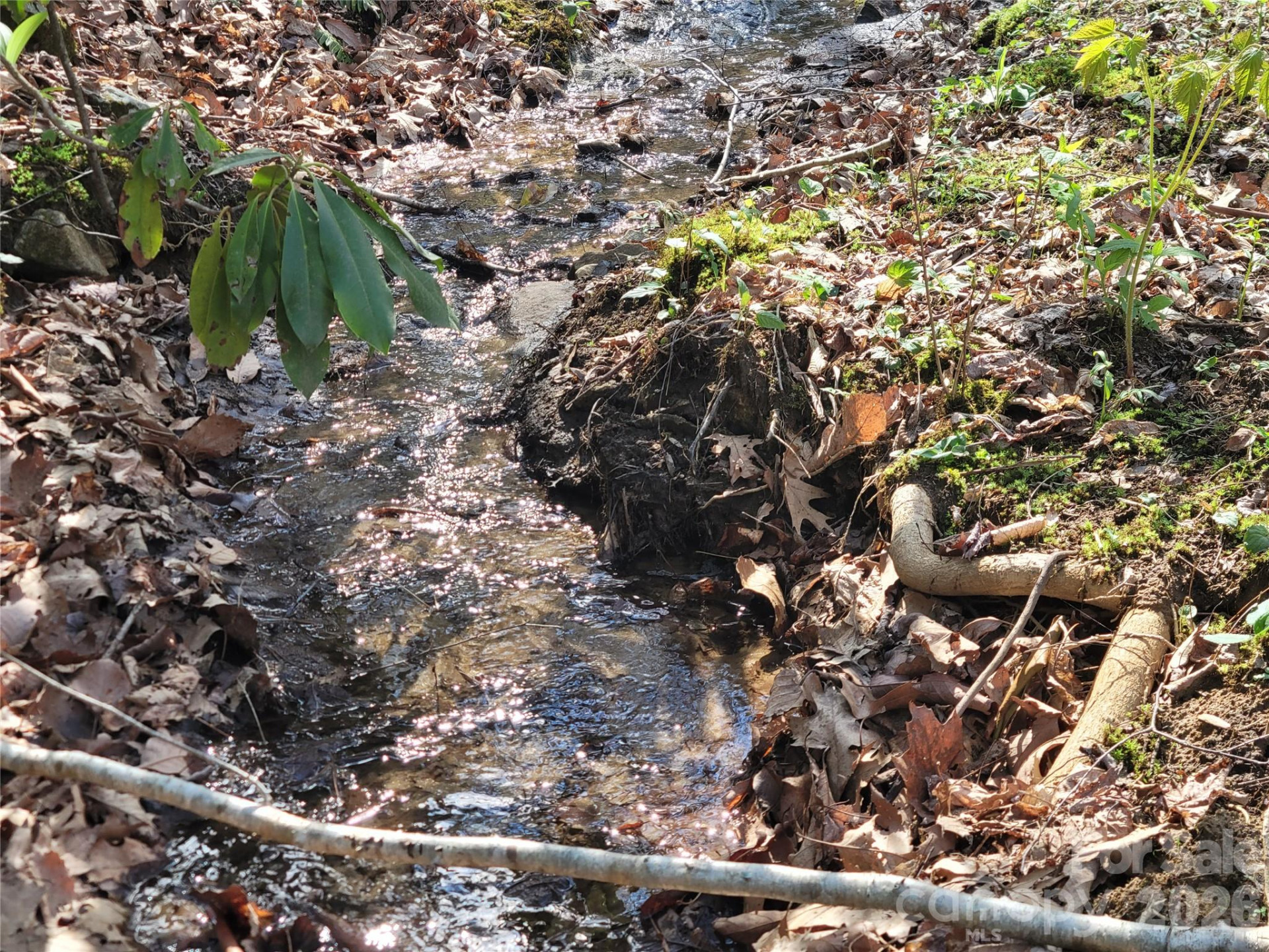 9999 Lytle Cove Road Road - Photo 7