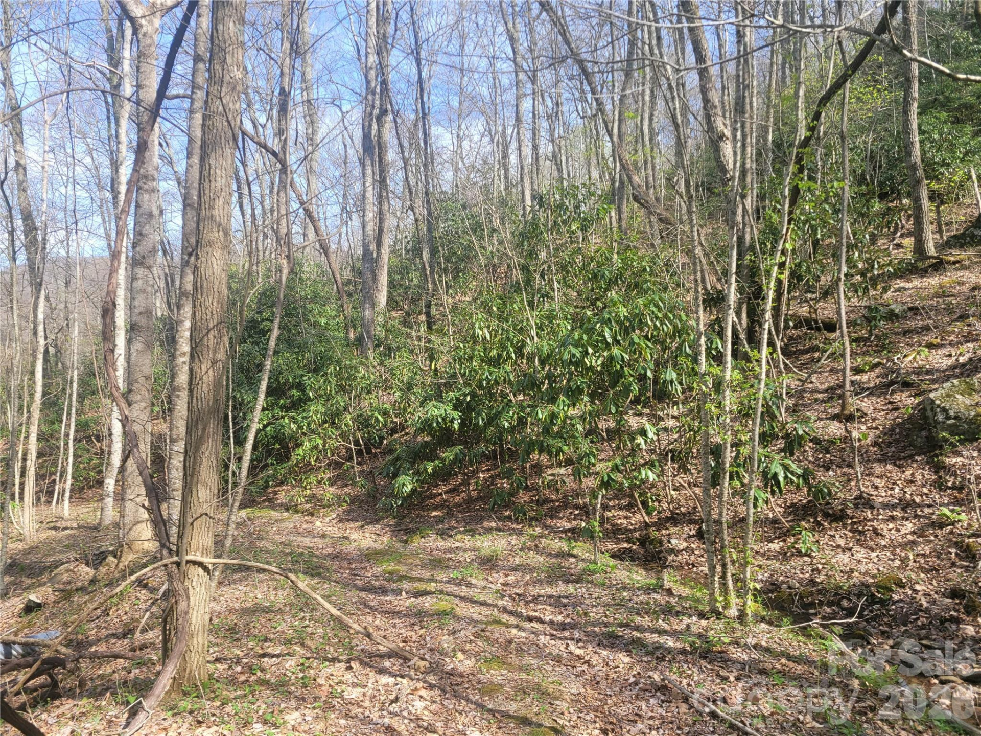 9999 Lytle Cove Road Road - Photo 8