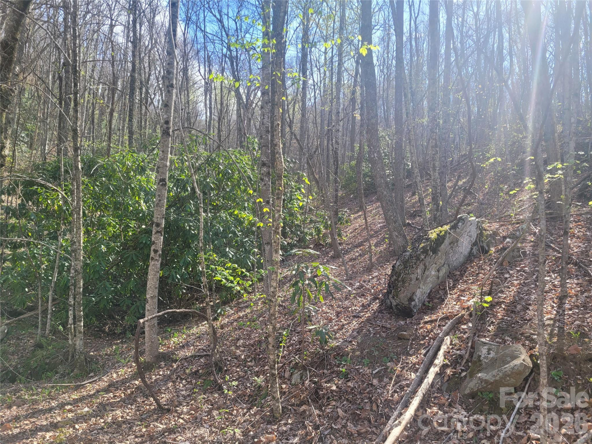 9999 Lytle Cove Road Road - Photo 9