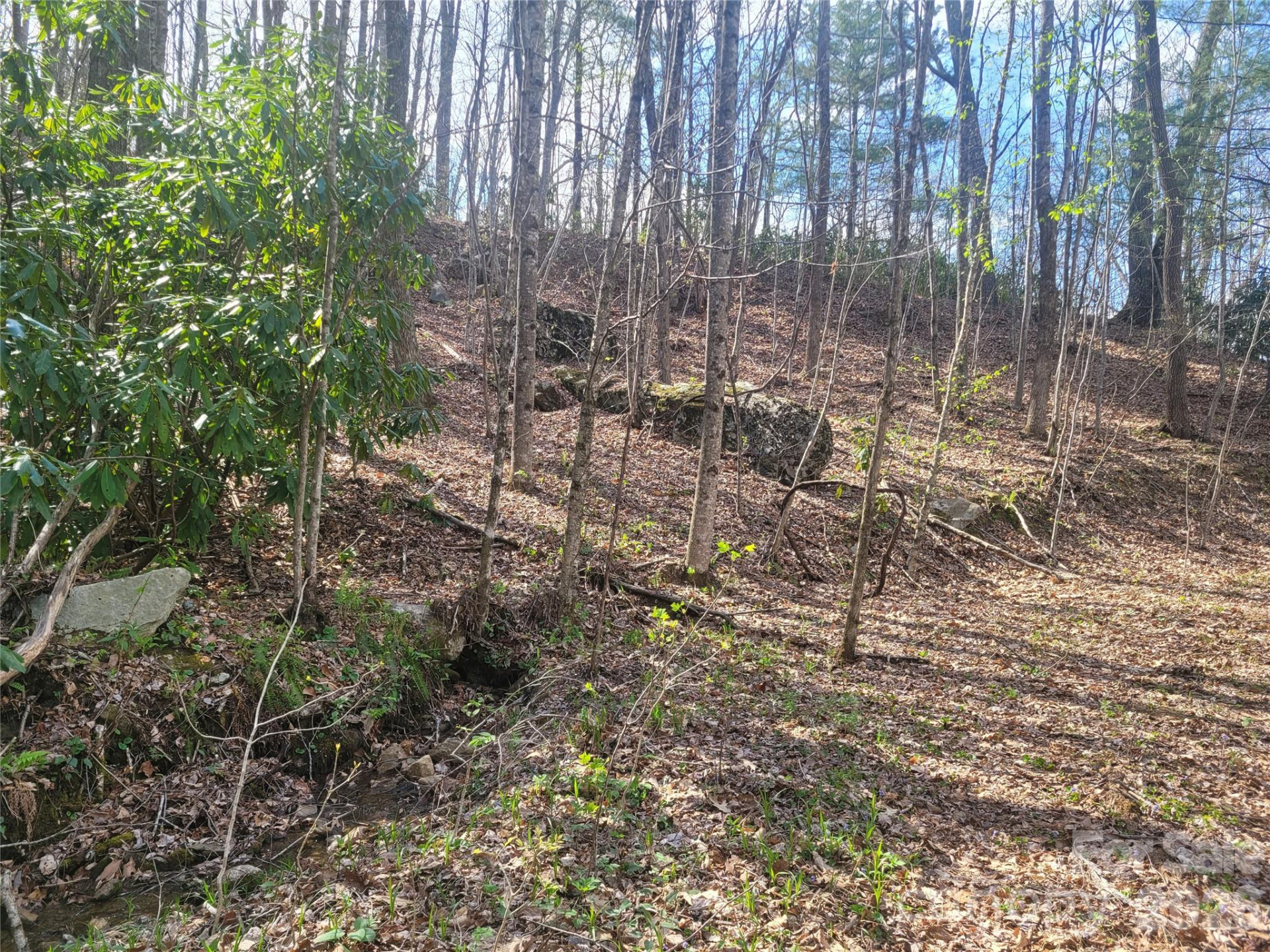 9999 Lytle Cove Road Road - Photo 10