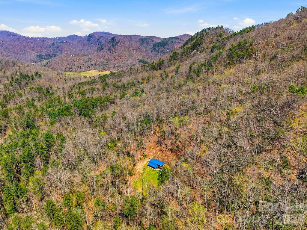 3138 Buffalo Creek Road - Photo 3