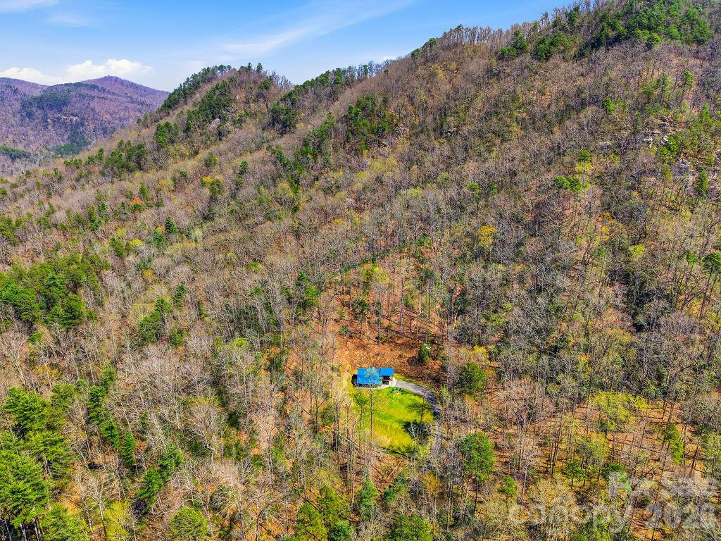3138 Buffalo Creek Road - Photo 36