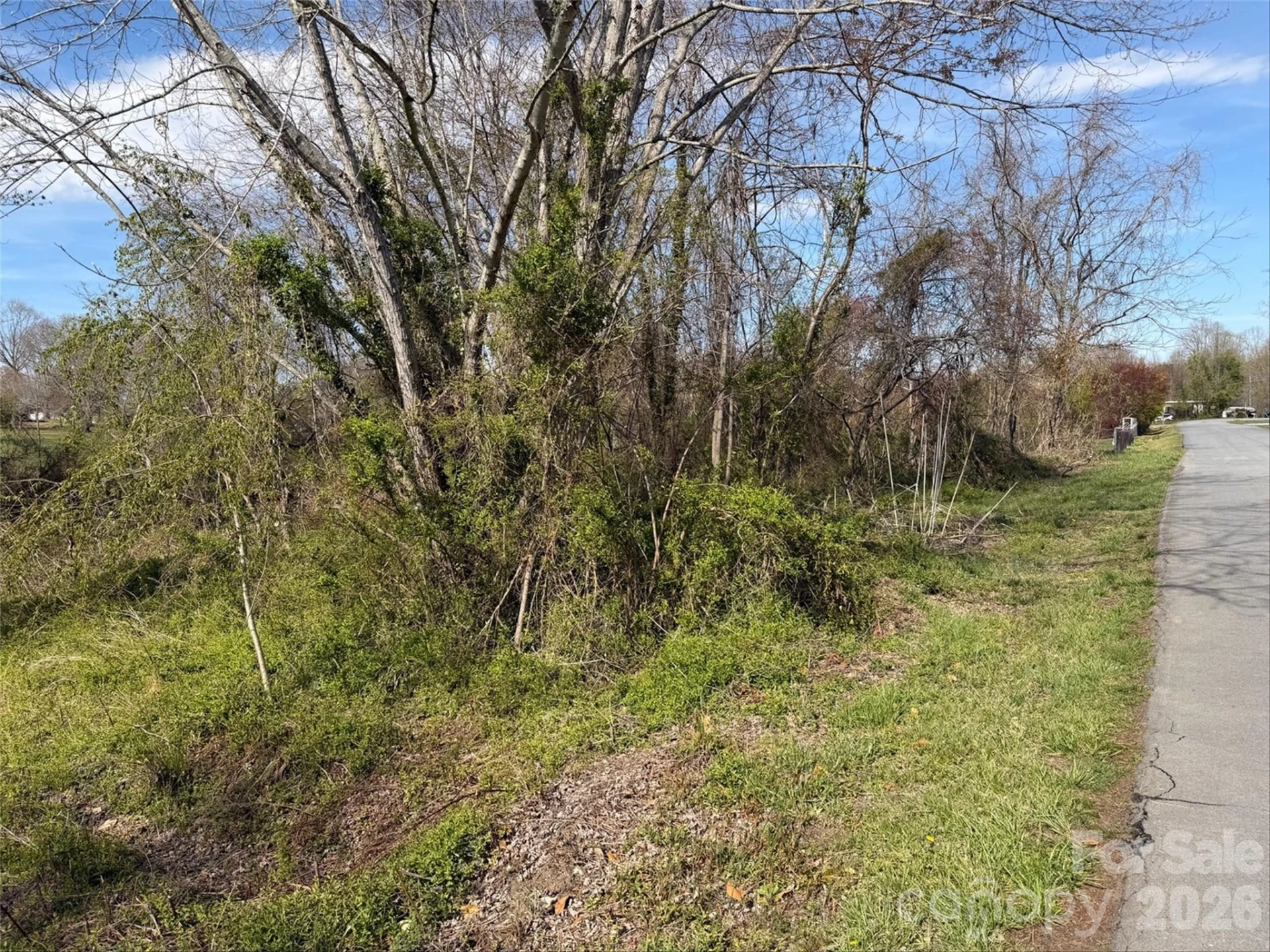 TBD Maplewood Knoll Drive - Photo 11