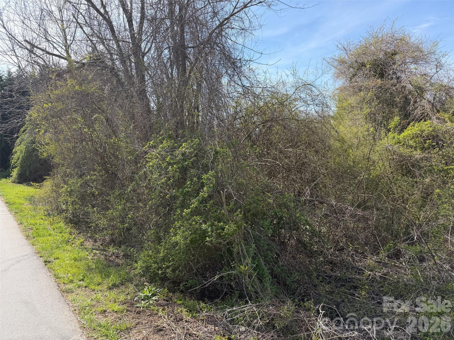 TBD Maplewood Knoll Drive - Photo 12