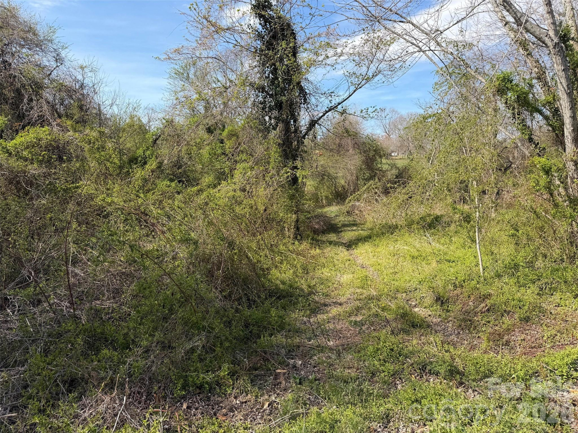 TBD Maplewood Knoll Drive - Photo 13