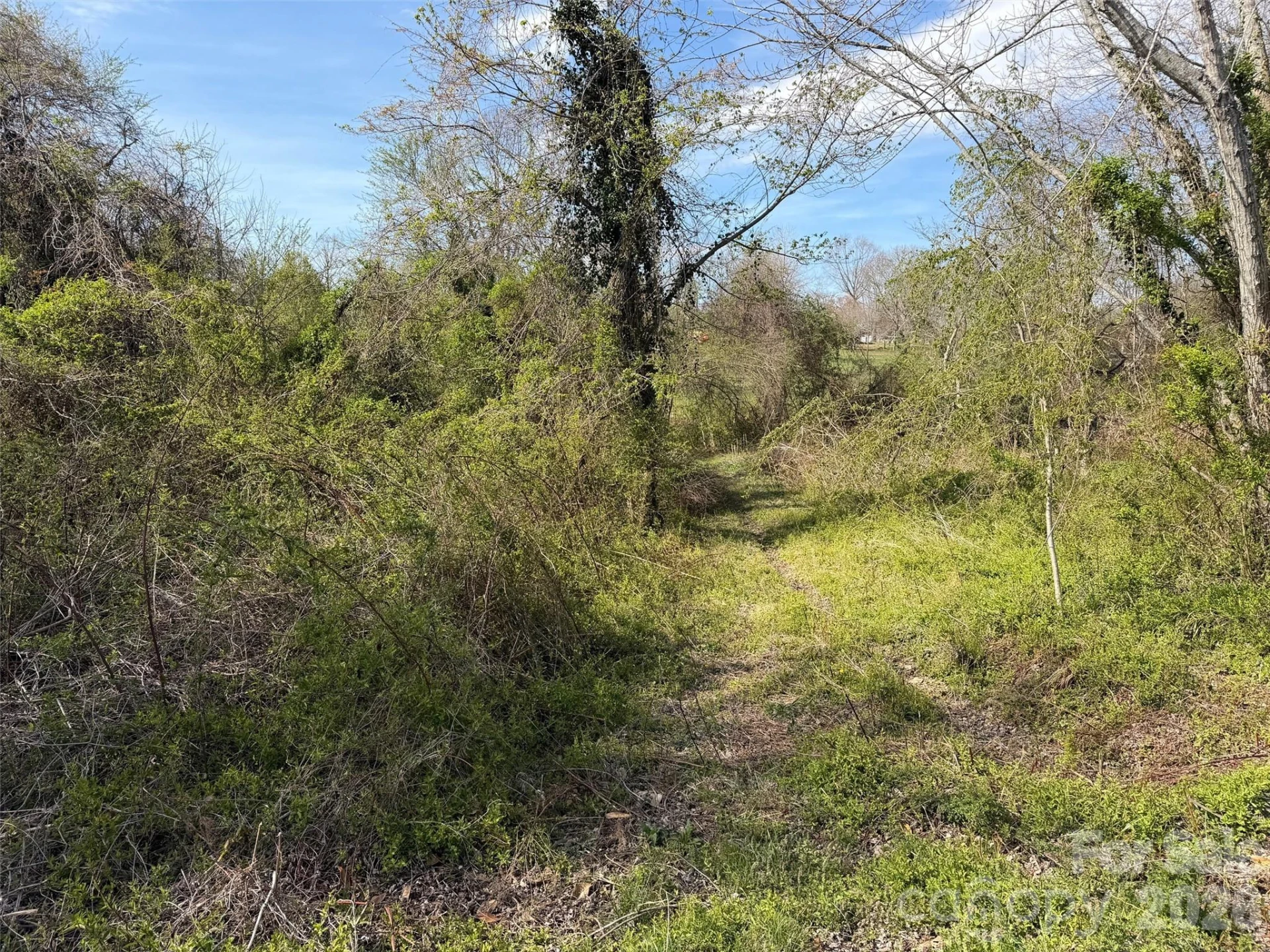 TBD Maplewood Knoll Drive - Photo 13