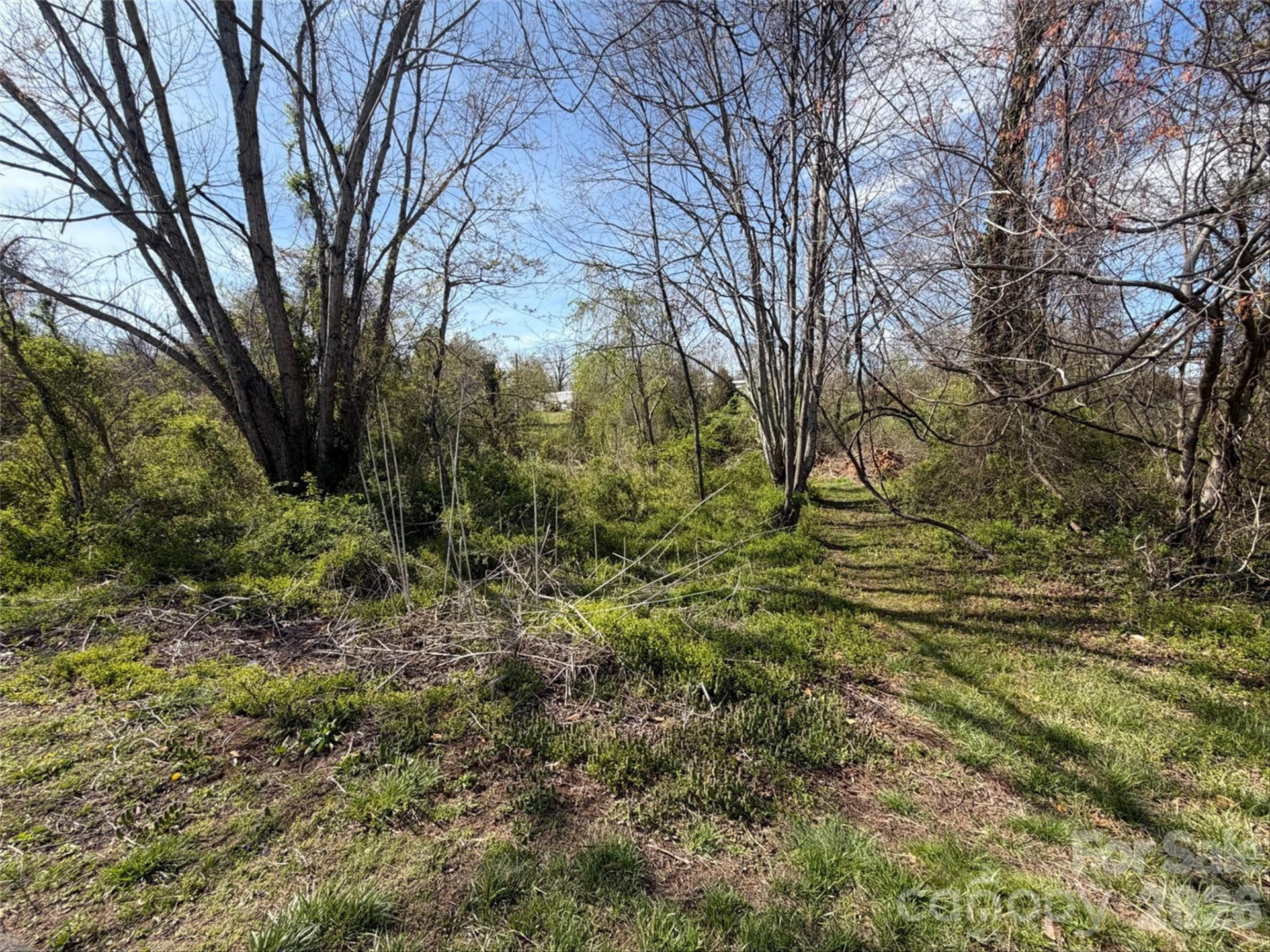 TBD Maplewood Knoll Drive - Photo 14