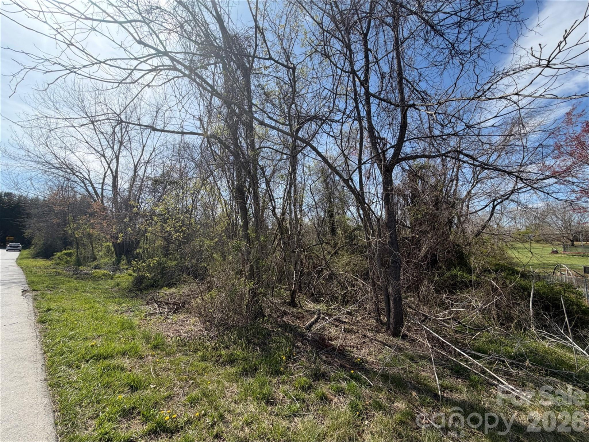 TBD Maplewood Knoll Drive - Photo 15