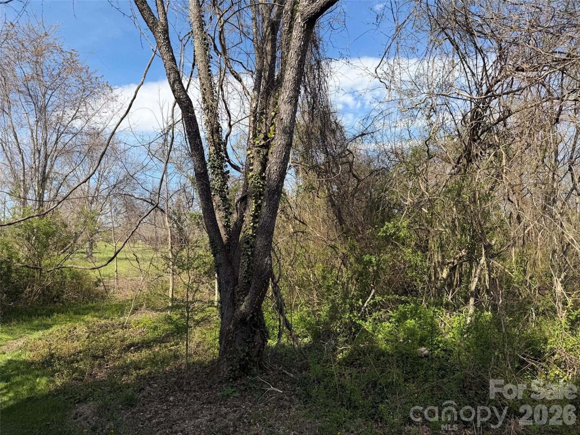 TBD Maplewood Knoll Drive - Photo 16