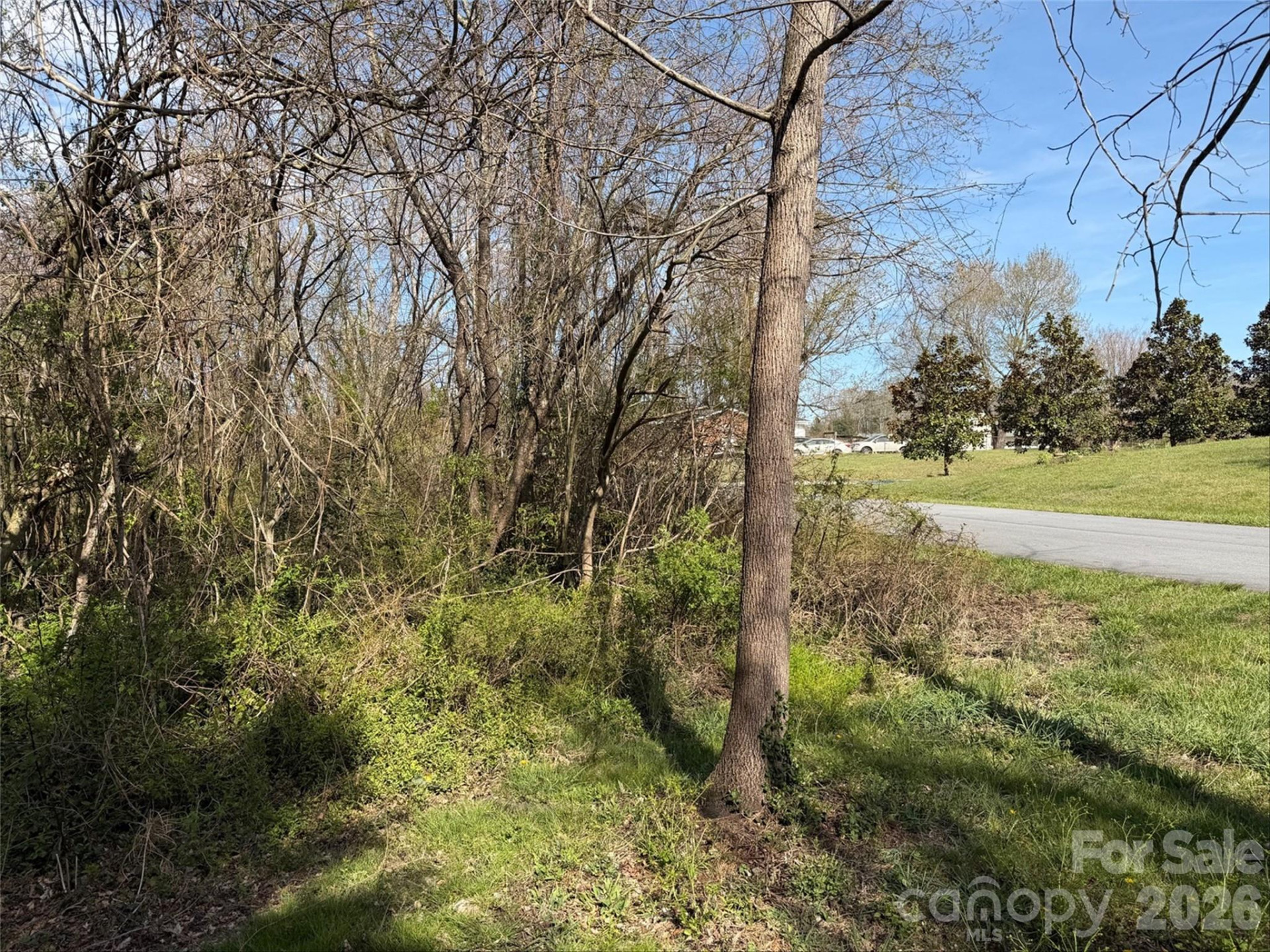 TBD Maplewood Knoll Drive - Photo 17