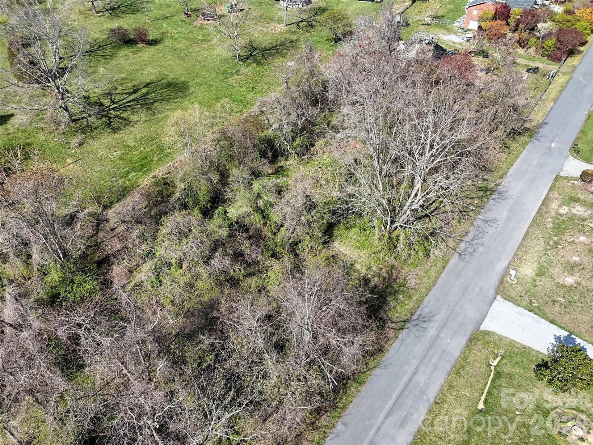 TBD Maplewood Knoll Drive - Photo 5